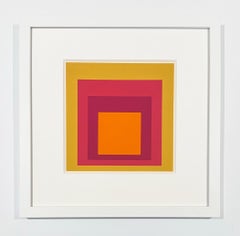 Homage to the Square