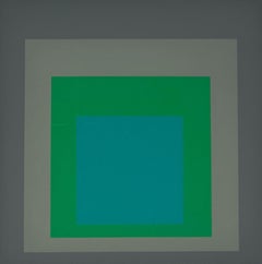 Homage to the Square