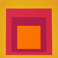 Homage to the Square