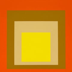 Homage to the Square