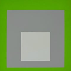 Homage to the Square