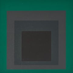 Homage to the Square