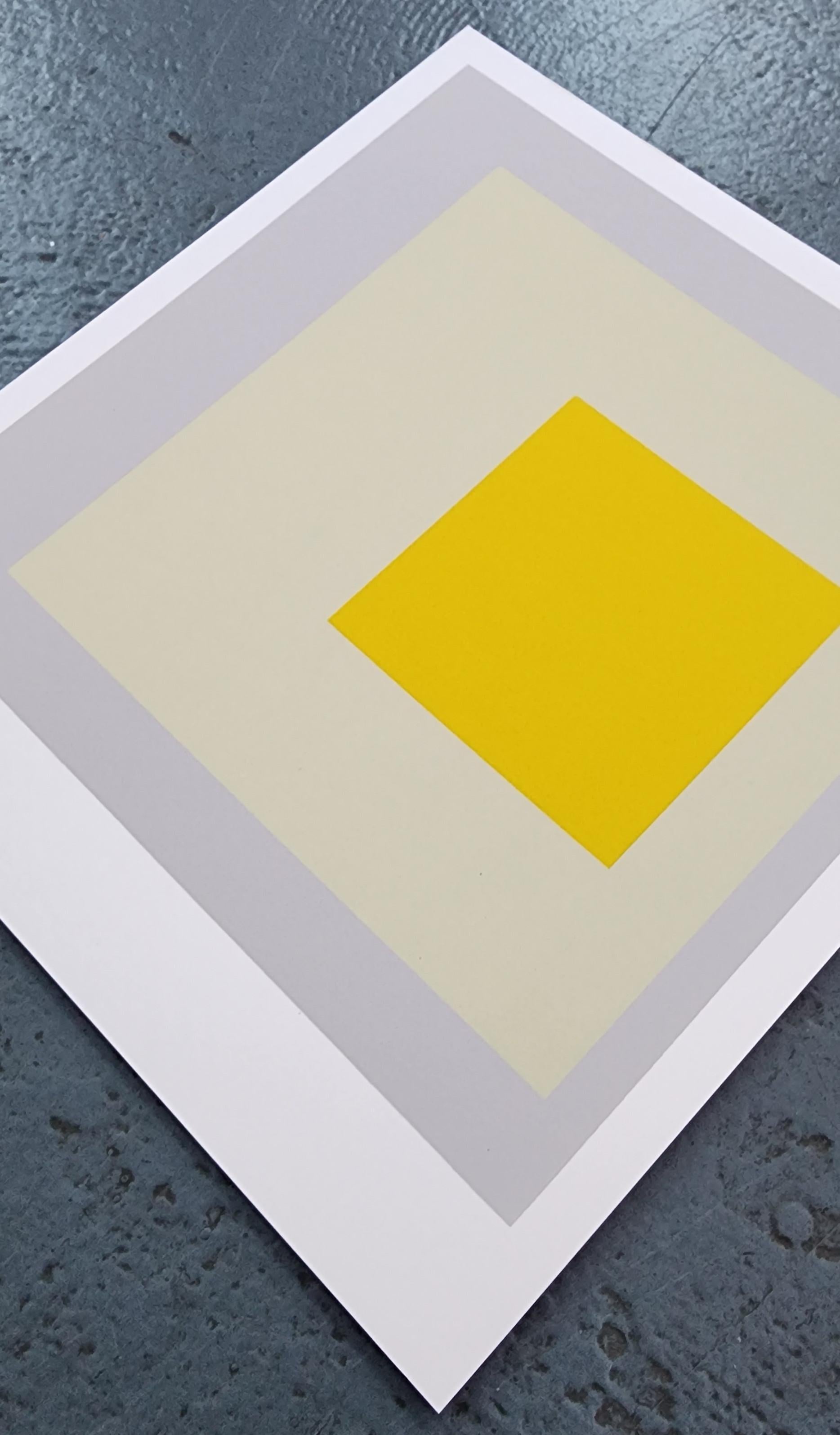 Homage to the Square: Impact (Bauhaus, Minimalism, 50% OFF LIST PRICE) 2