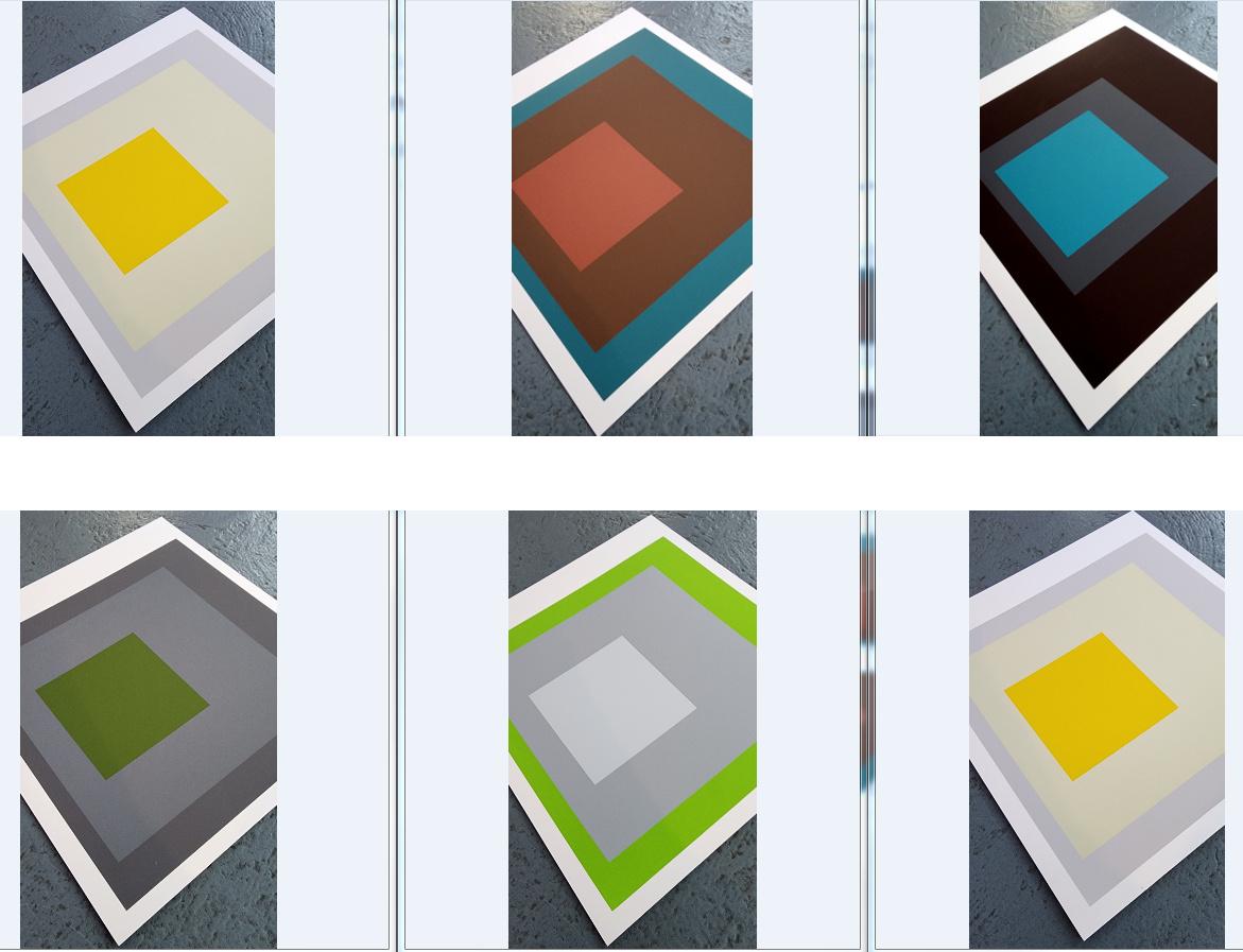 Homage to the Square: Six Silkscreen Prints (~56% OFF LIST PRICE - LIMITED TIME) - Gray Abstract Print by (after) Josef Albers