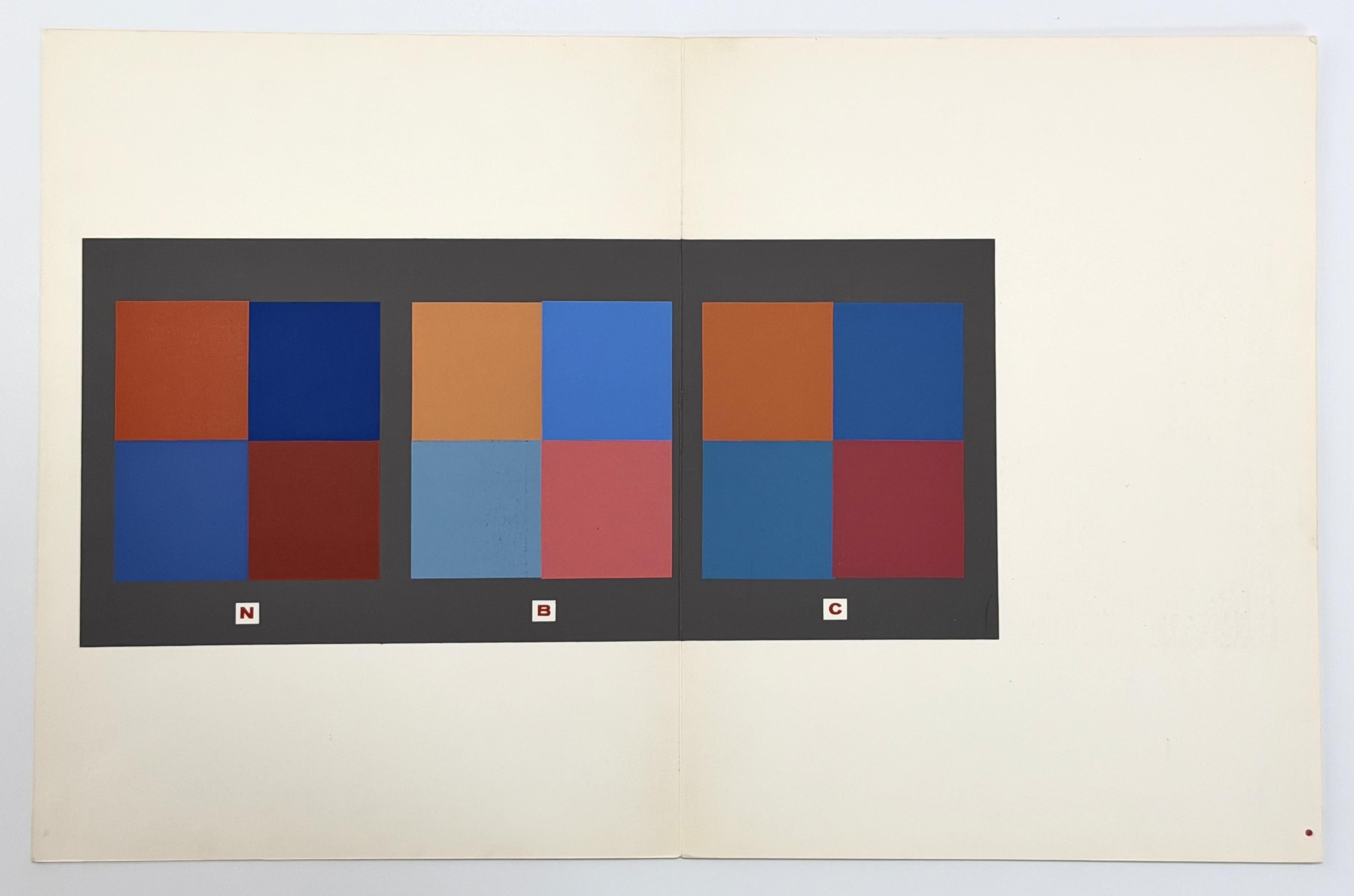 Interaction of Color - serigraph - Print by (after) Josef Albers