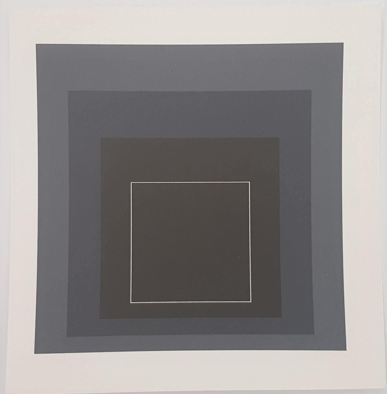 (after) Josef Albers Abstract Print - White Lines Squares