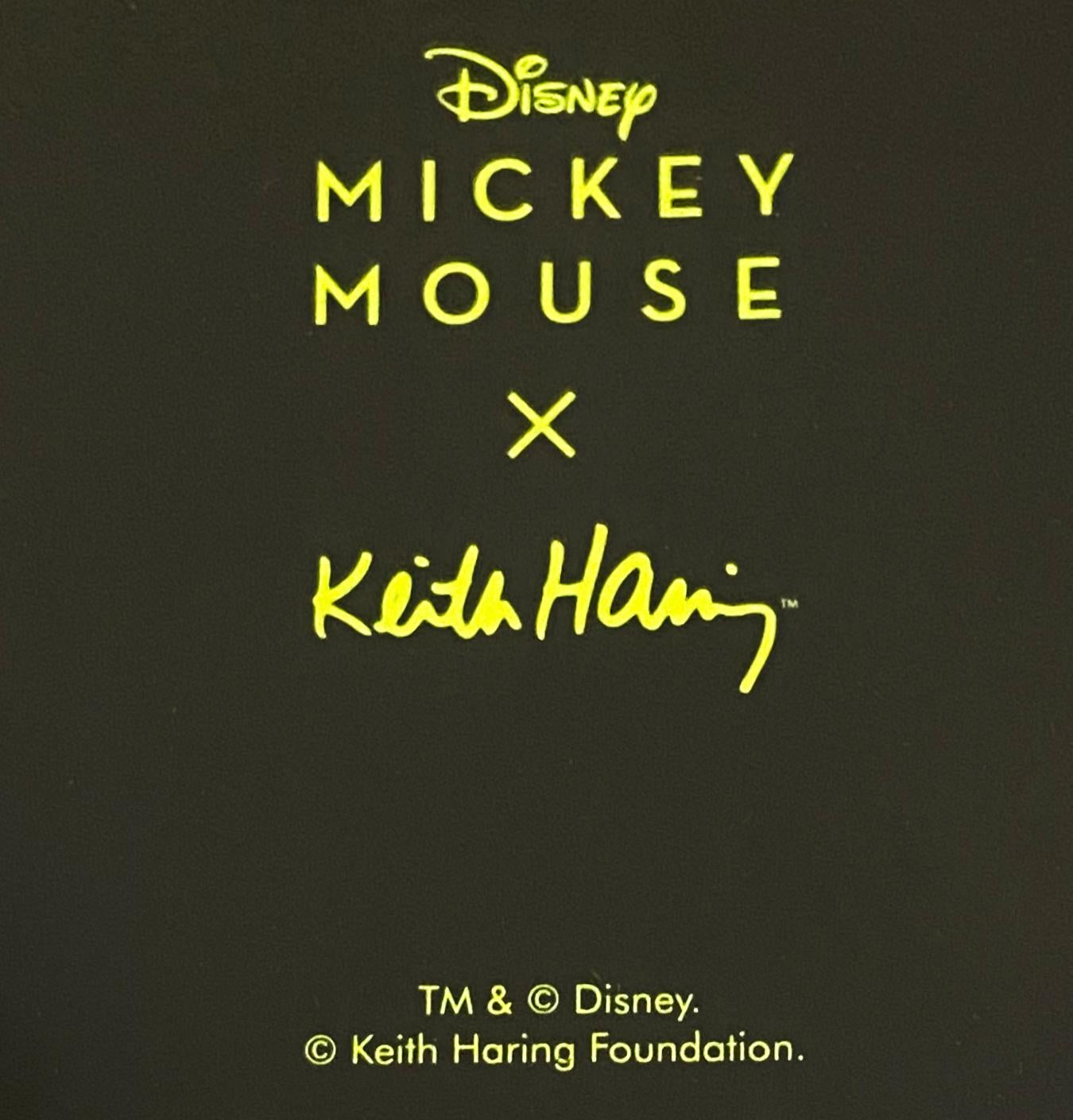 Keith Haring Mickey Mouse Skateboard Deck:
Außergewöhnliches Keith Haring Skateboard Deck mit satten, leuchtenden, lustigen Farben und dem klassischen Keith Haring Mickey Mouse-Motiv der frühen 1980er Jahre. Ein brillantes Stück Haring-Wandkunst,