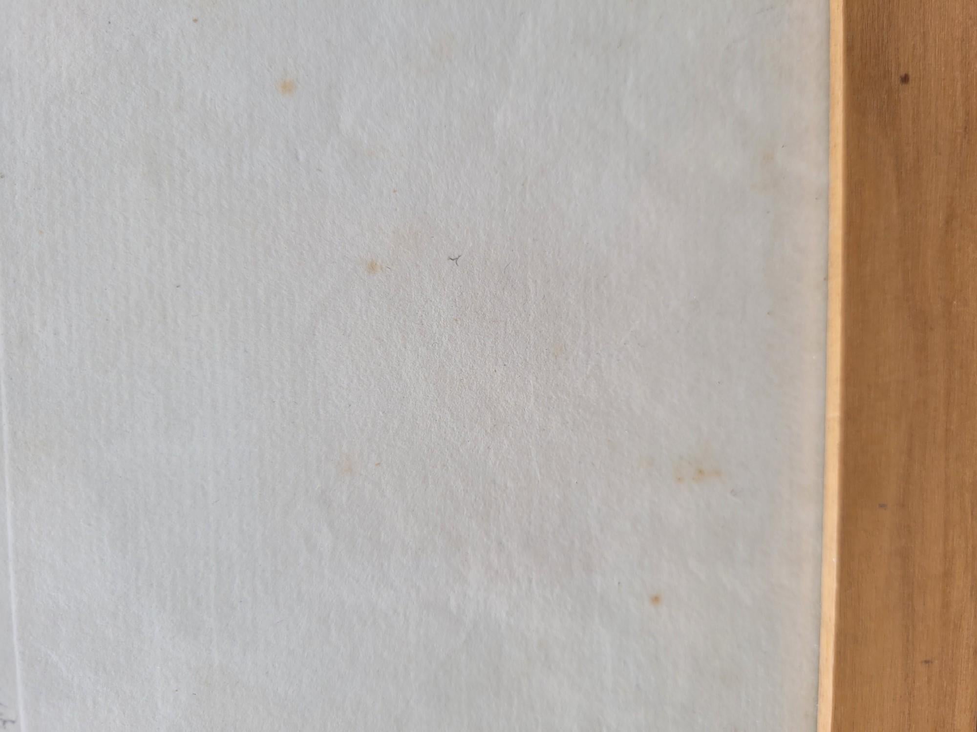 Nach Knorr, Schmetterlinge und Vögel, farbige gerahmte Gravuren, 19. Jahrhundert im Angebot 5