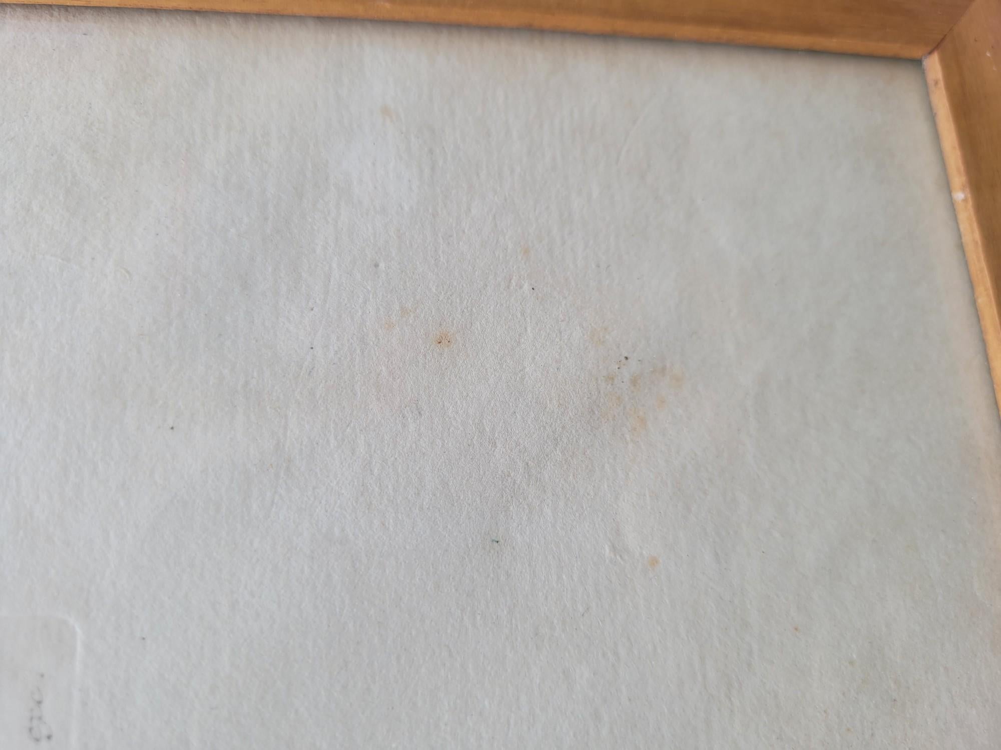 Nach Knorr, Schmetterlinge und Vögel, farbige gerahmte Gravuren, 19. Jahrhundert im Angebot 6
