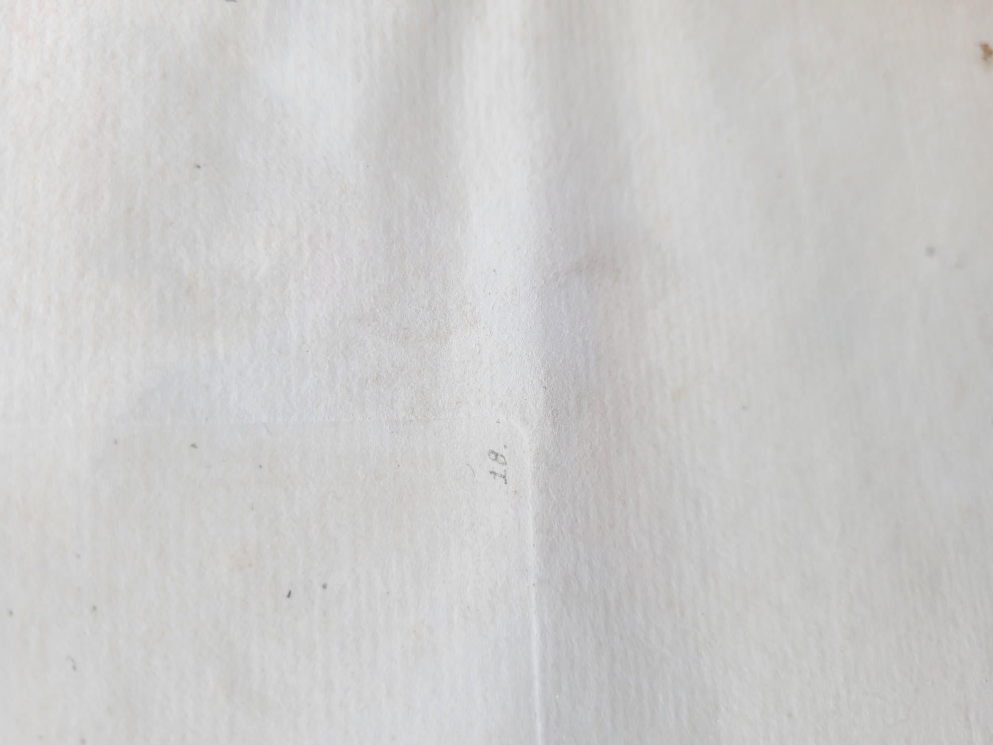 Nach Knorr, Schmetterlinge und Vögel, farbige gerahmte Gravuren, 19. Jahrhundert im Angebot 11