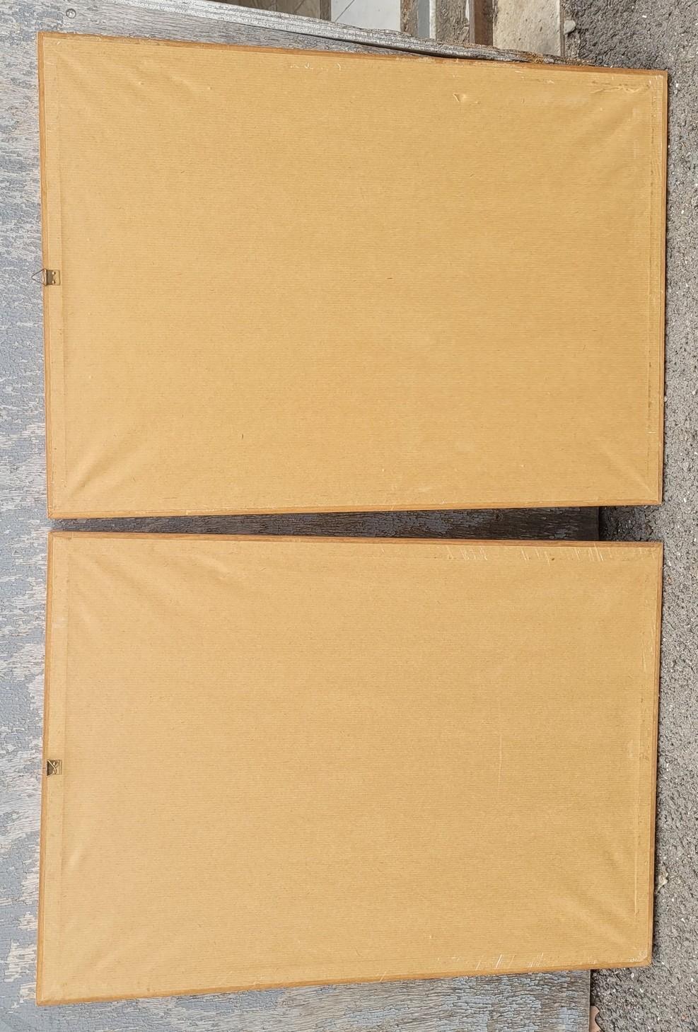Nach Knorr, Schmetterlinge und Vögel, farbige gerahmte Gravuren, 19. Jahrhundert im Angebot 13