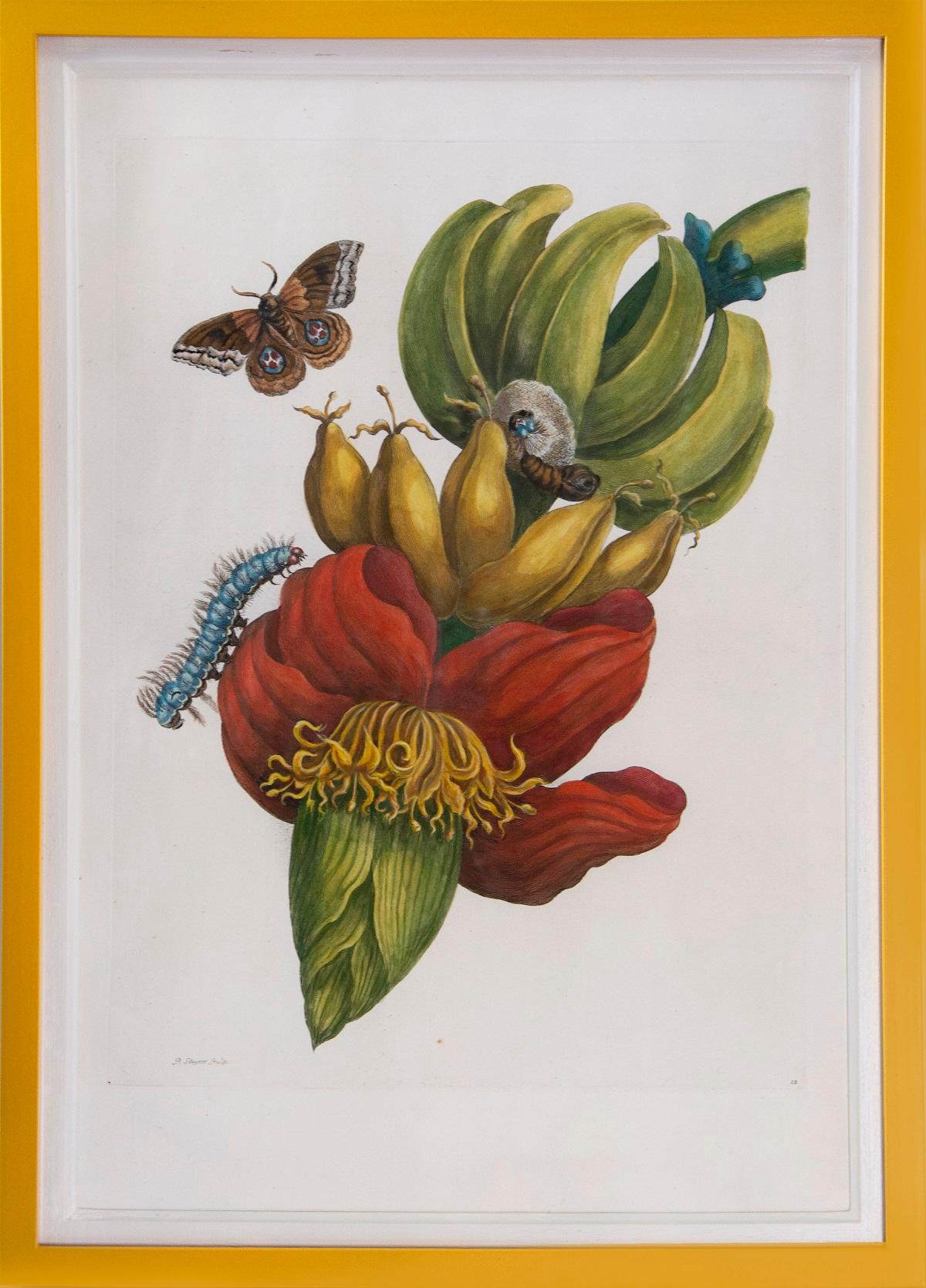 fruits and insects painting
