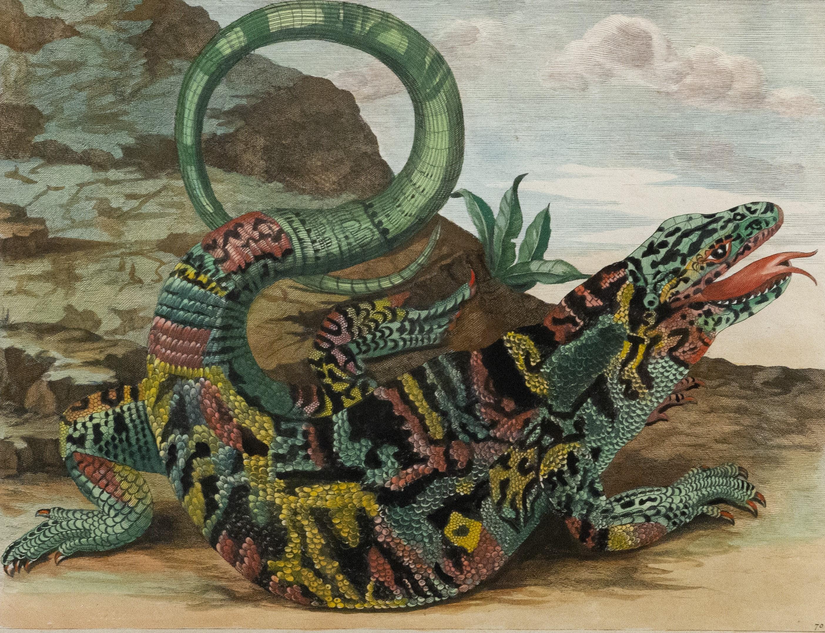 alligator and snake fight