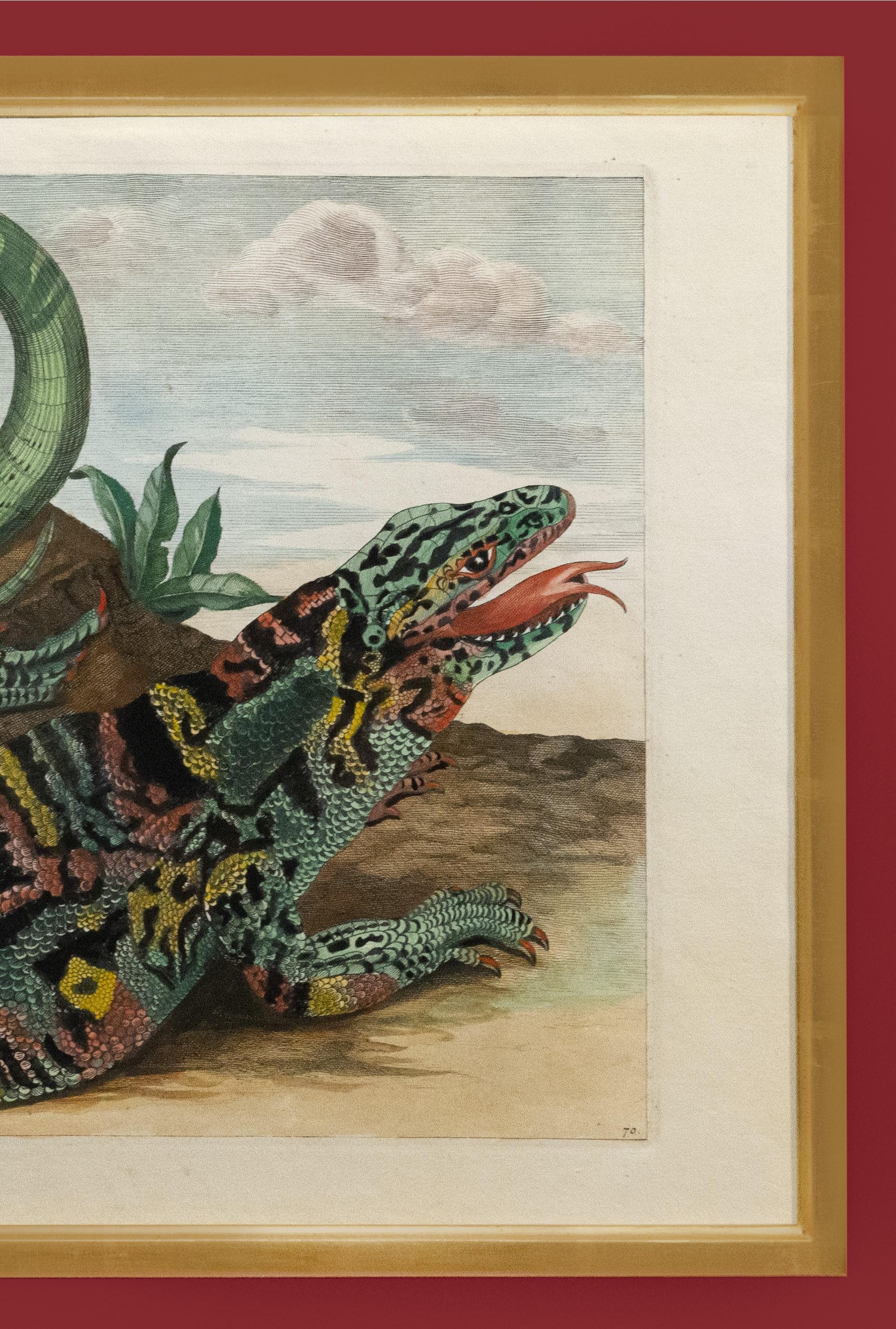 crocodile eating snake