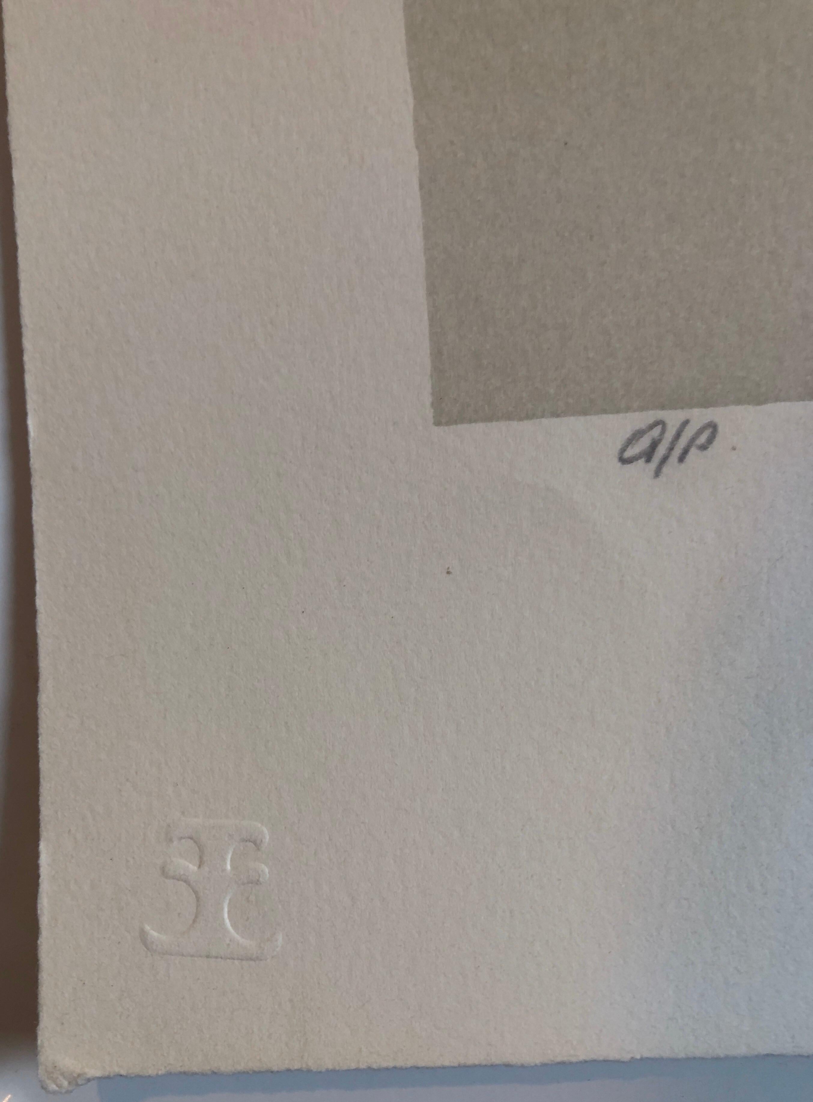 Litografía Original Firmada a Mano Vieja Mujer Montando Primer Vuelo de Avión Americana en venta 1