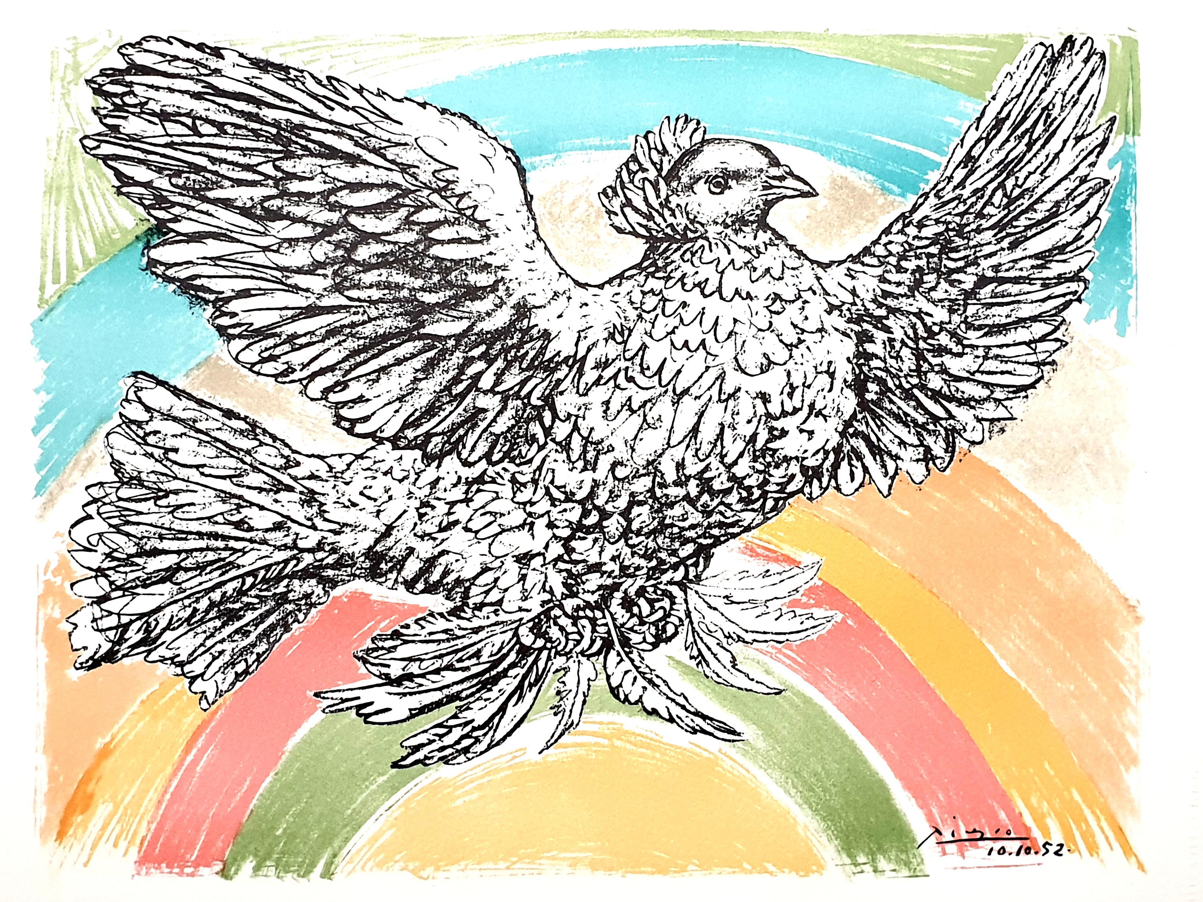 (Nach) Pablo Picasso - Fliegende Taube mit einem Regenbogen - Lithographie