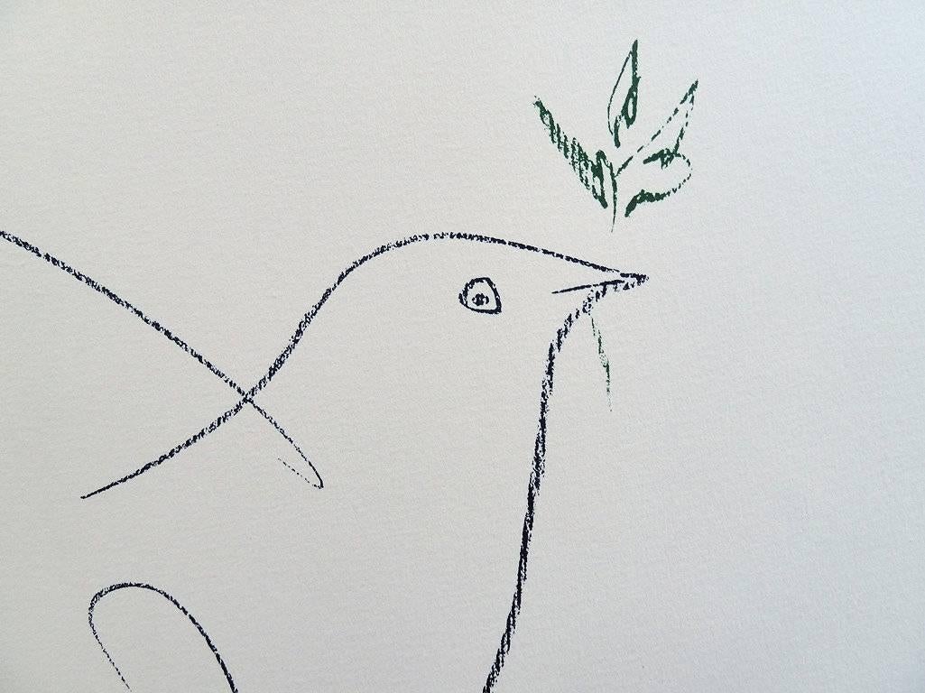 Dove of Peace - Lithograph - Print by (after) Pablo Picasso