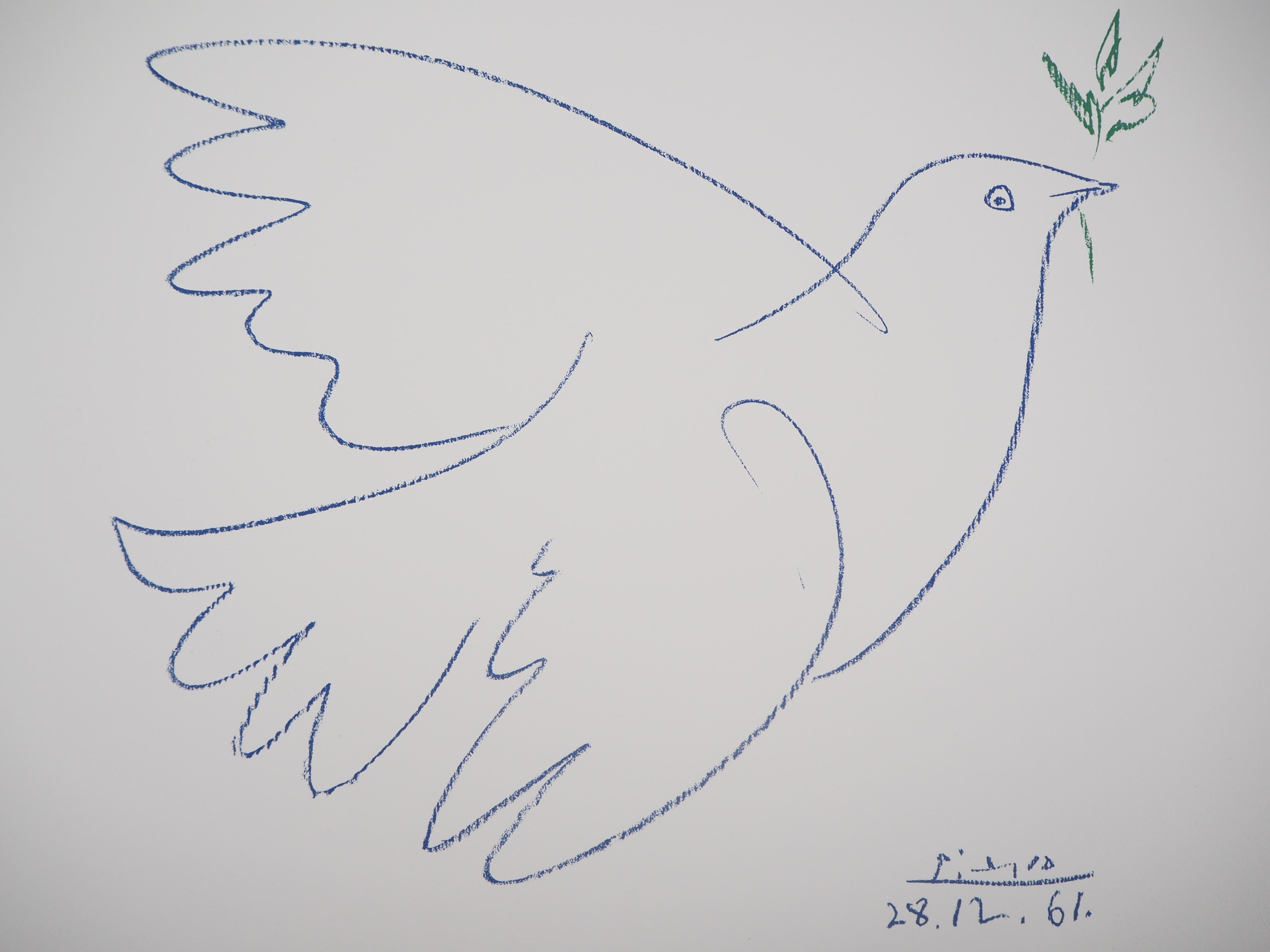 picaso dove