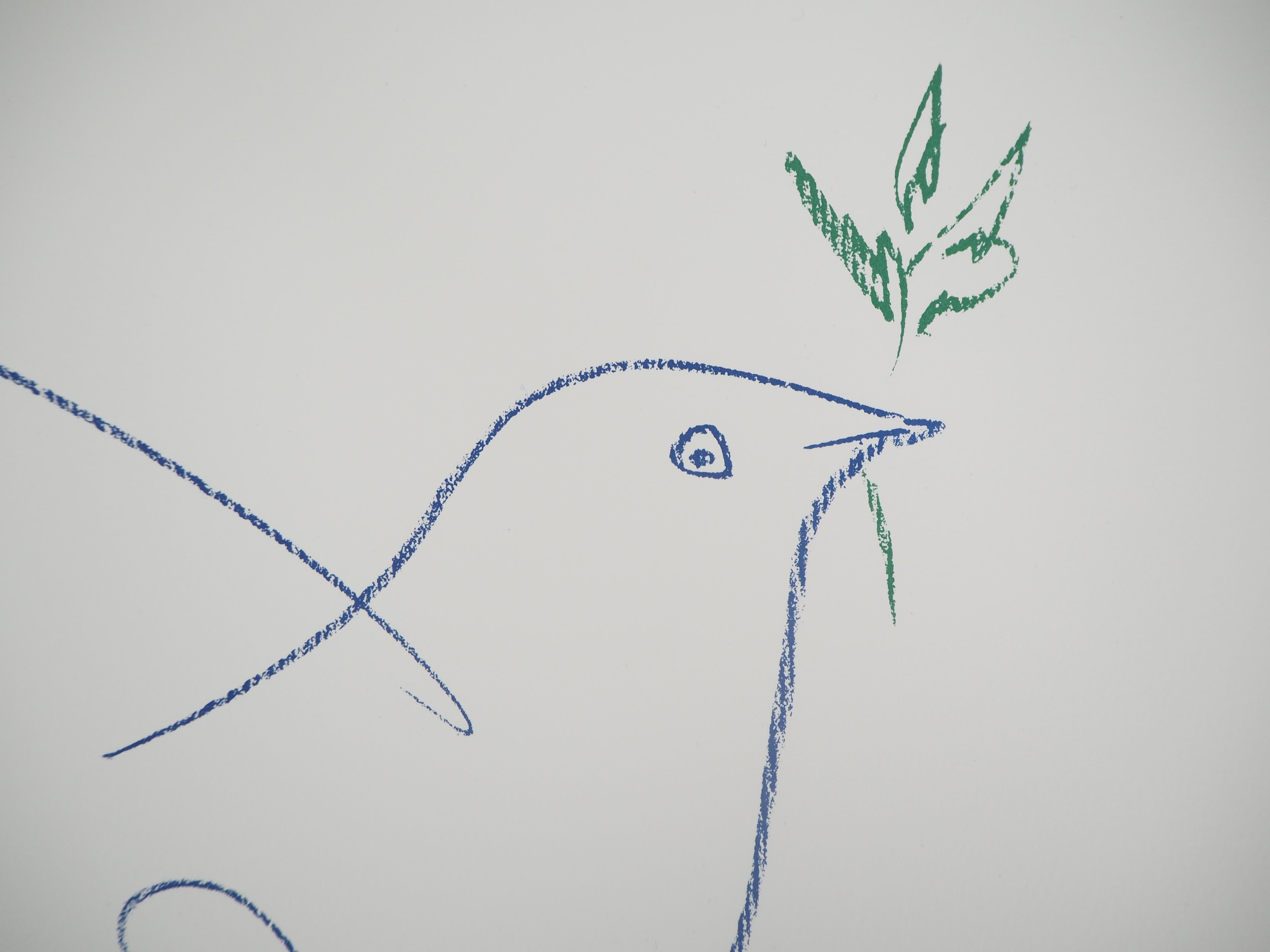 Dove of Peace - Lithograph - Modern Print by (after) Pablo Picasso