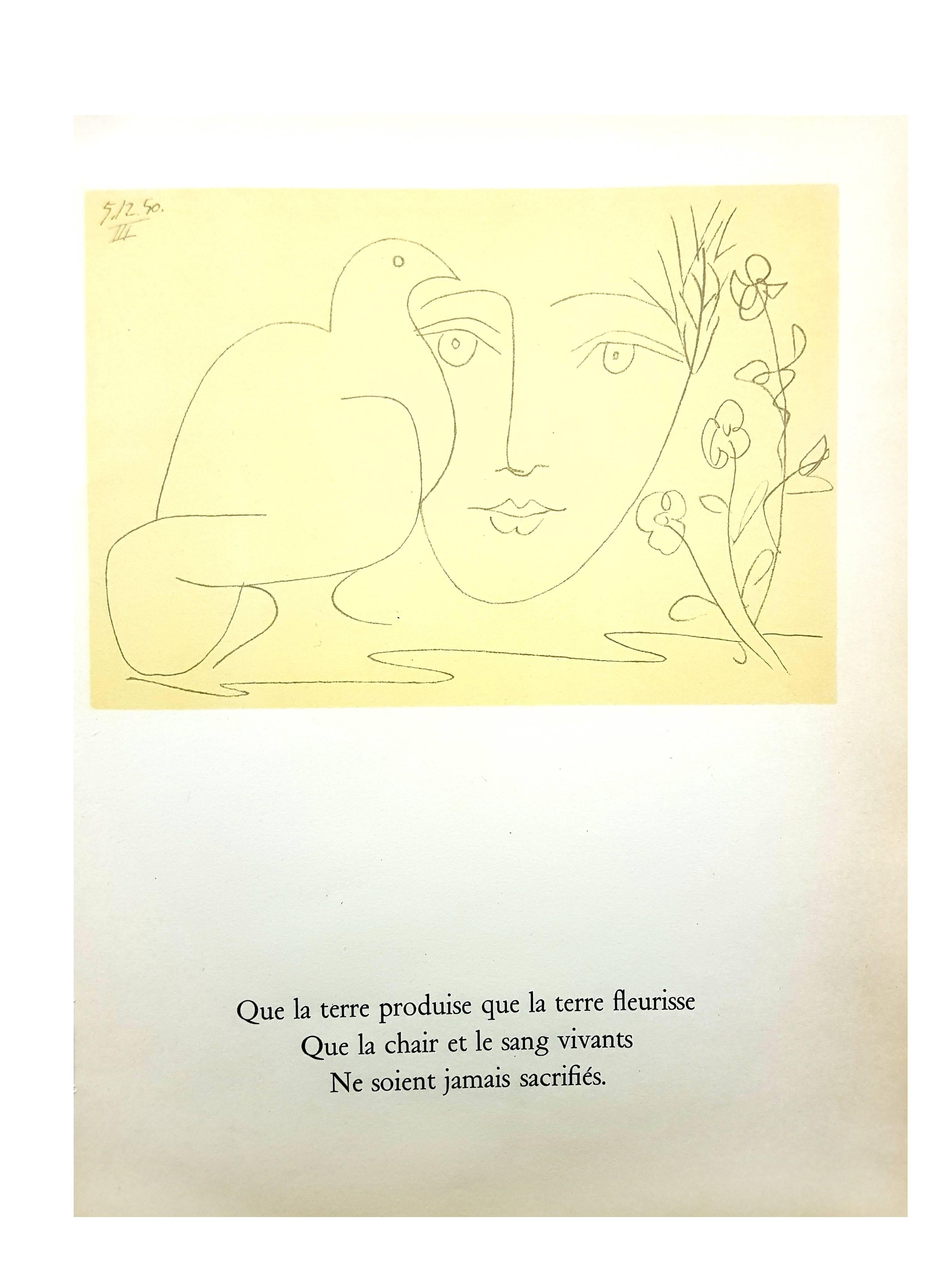 Face of Peace - Lithographie - Print de (after) Pablo Picasso