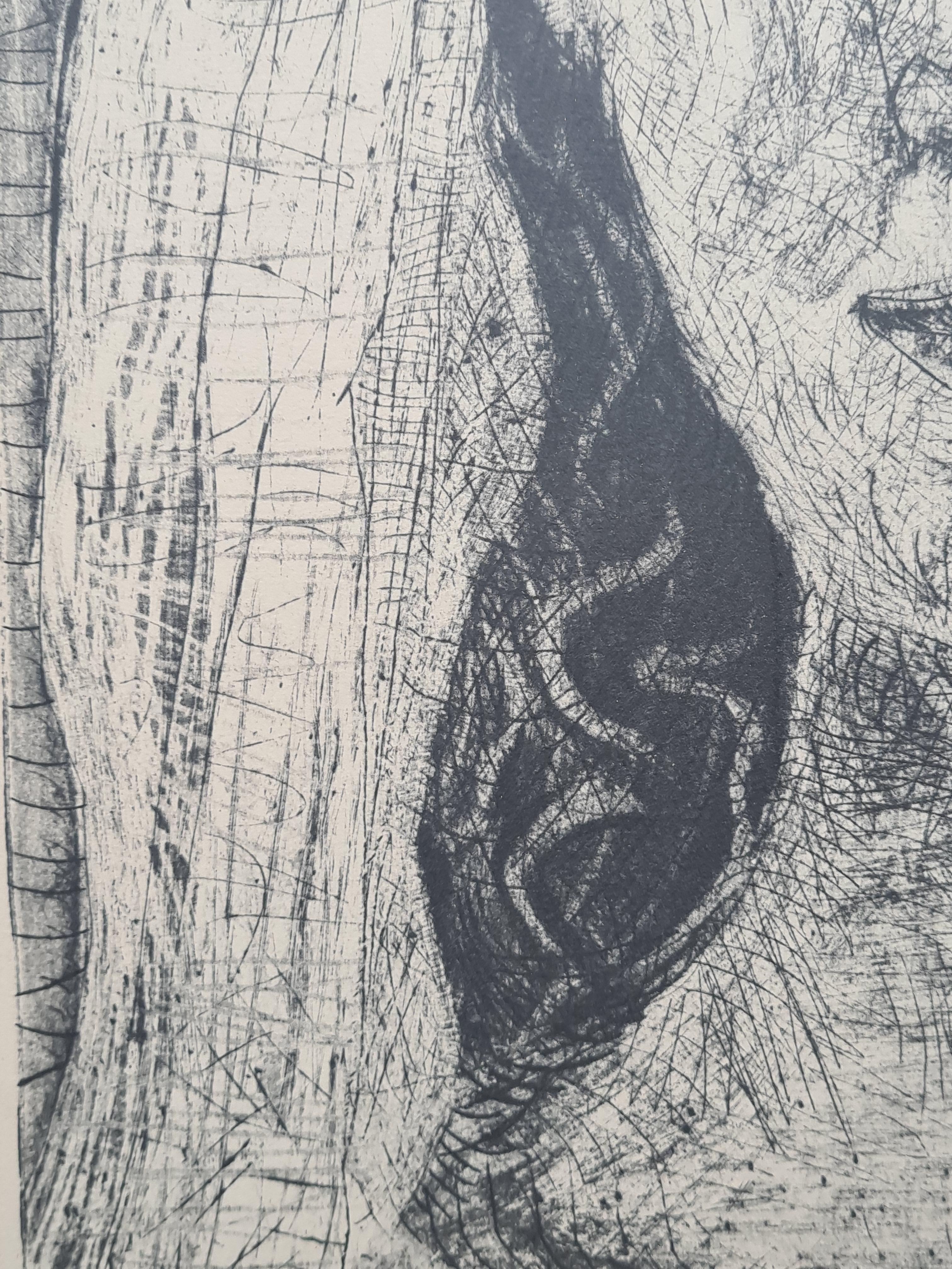 Jacqueline en Mariée, after Picasso, Seventeenth and Penultimate State (BA 1089) 1