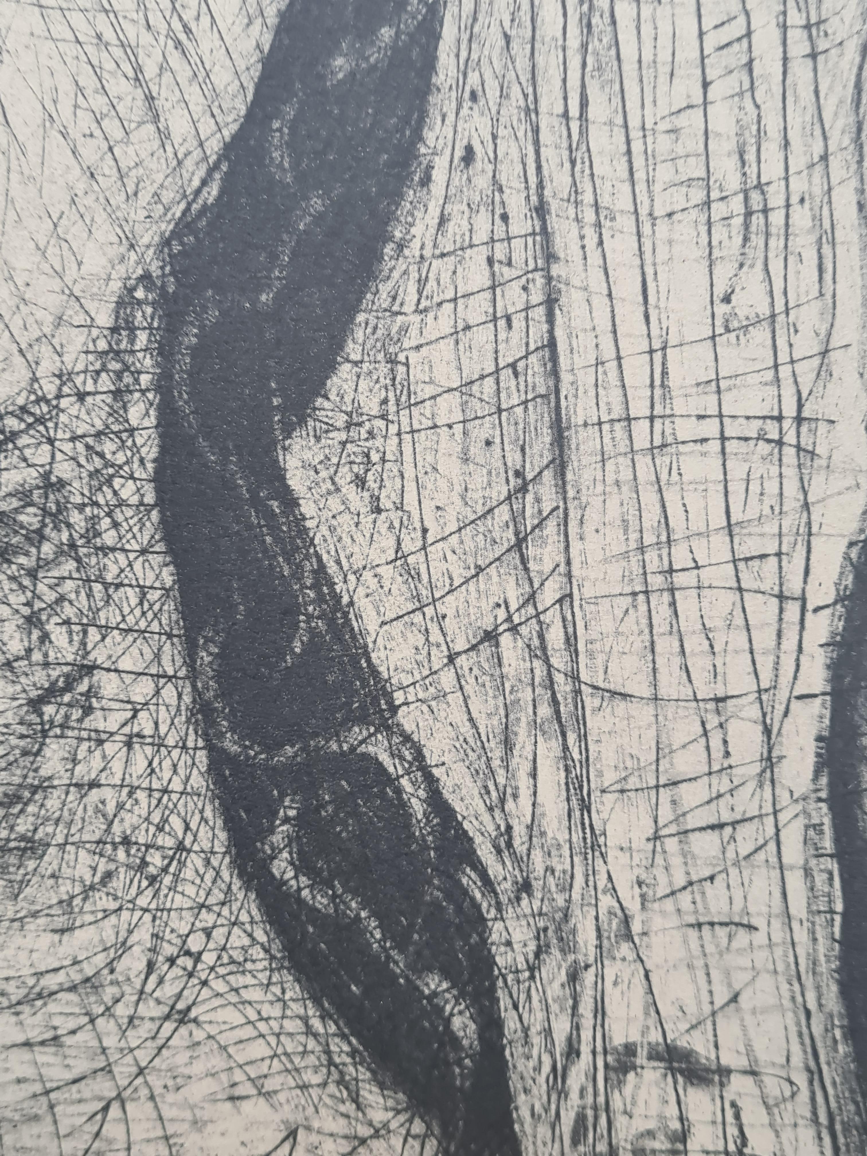 Jacqueline en Mariée, after Picasso, Seventeenth and Penultimate State (BA 1089) 4