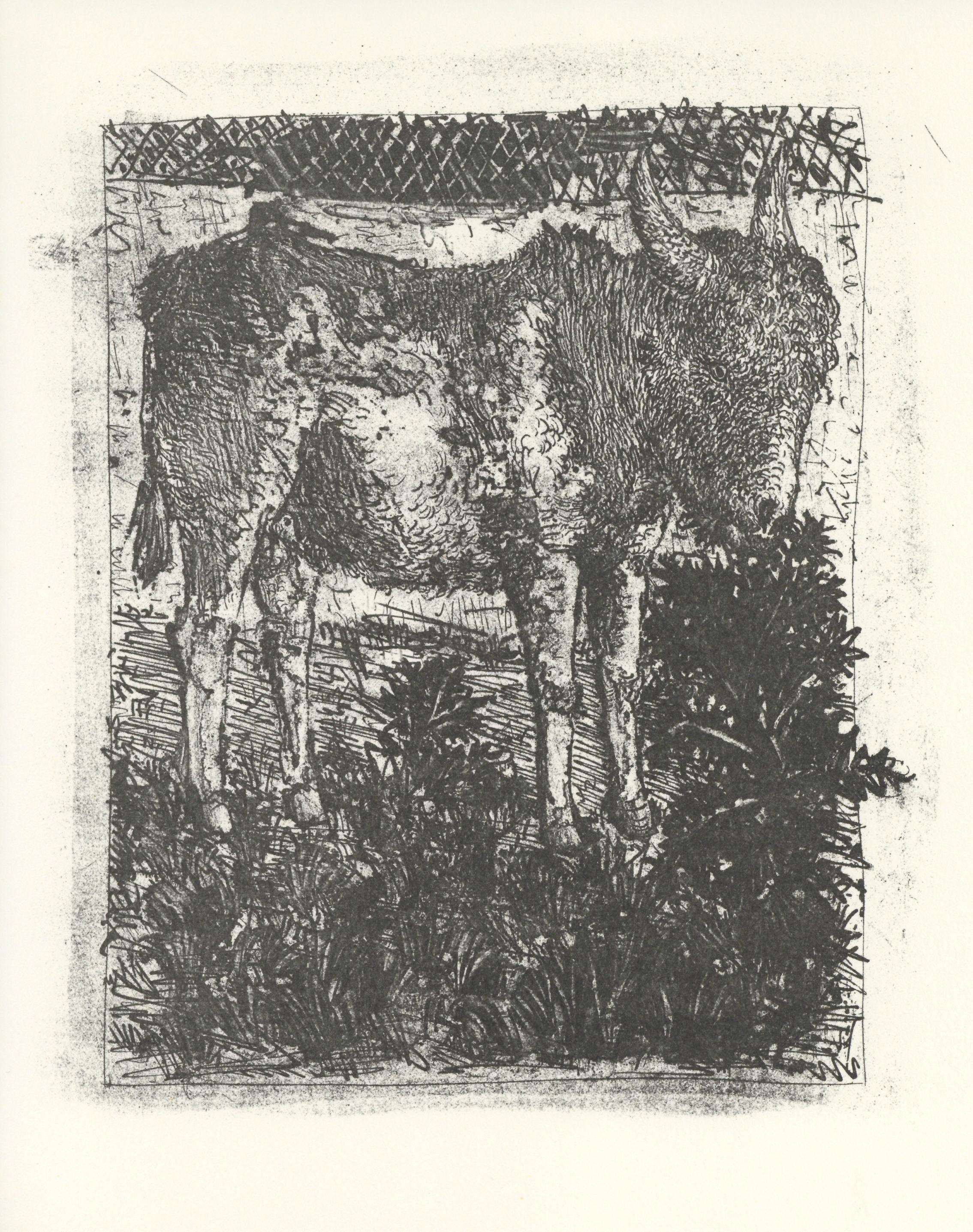 (after) Pablo Picasso Animal Print – L'Ane – Der Esel