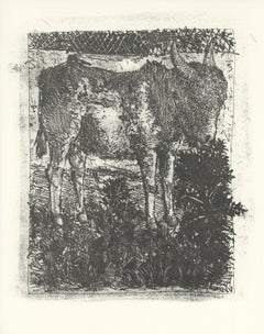 L'Ane – Der Esel