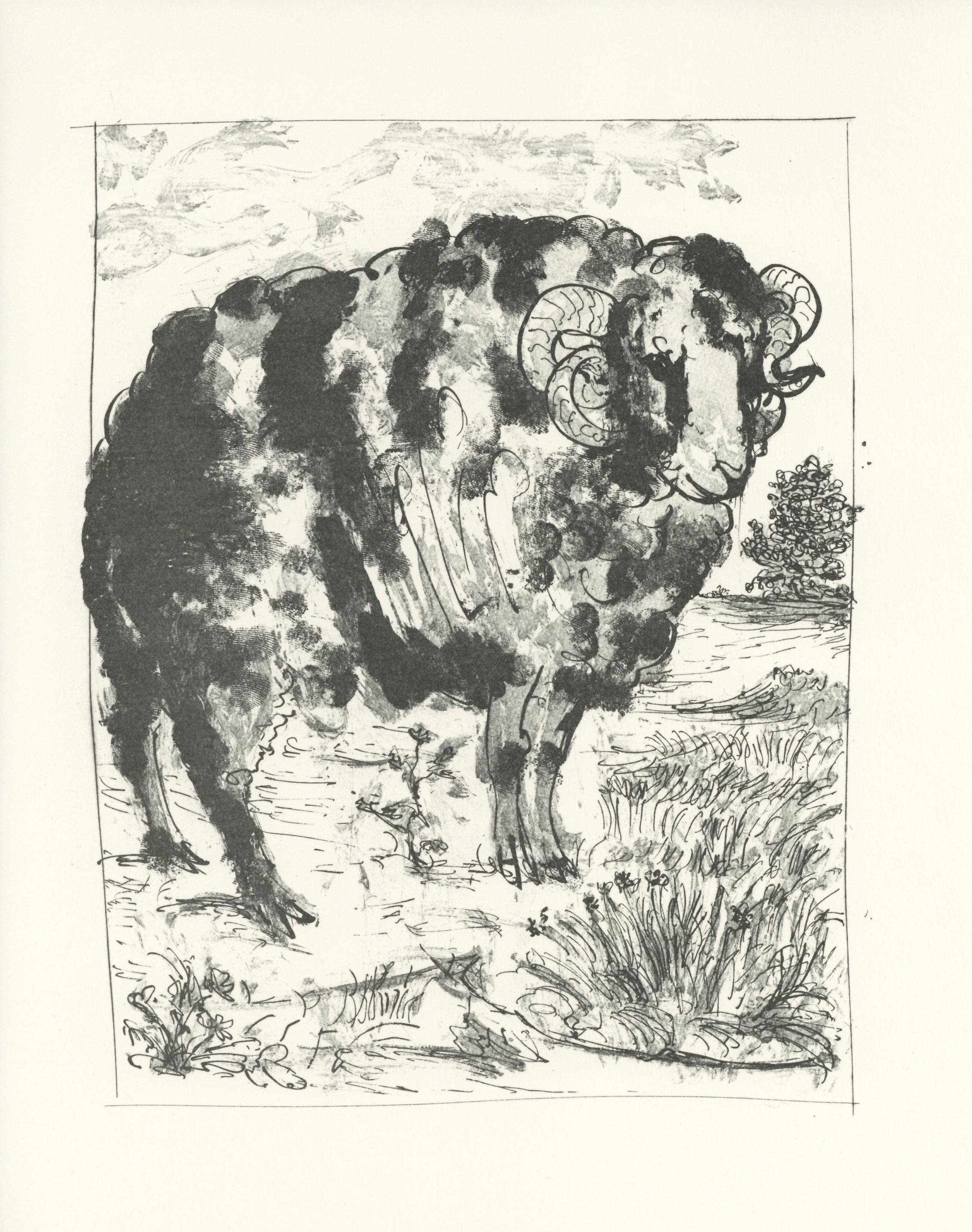 (after) Pablo Picasso Animal Print - Le Belier - The Ram