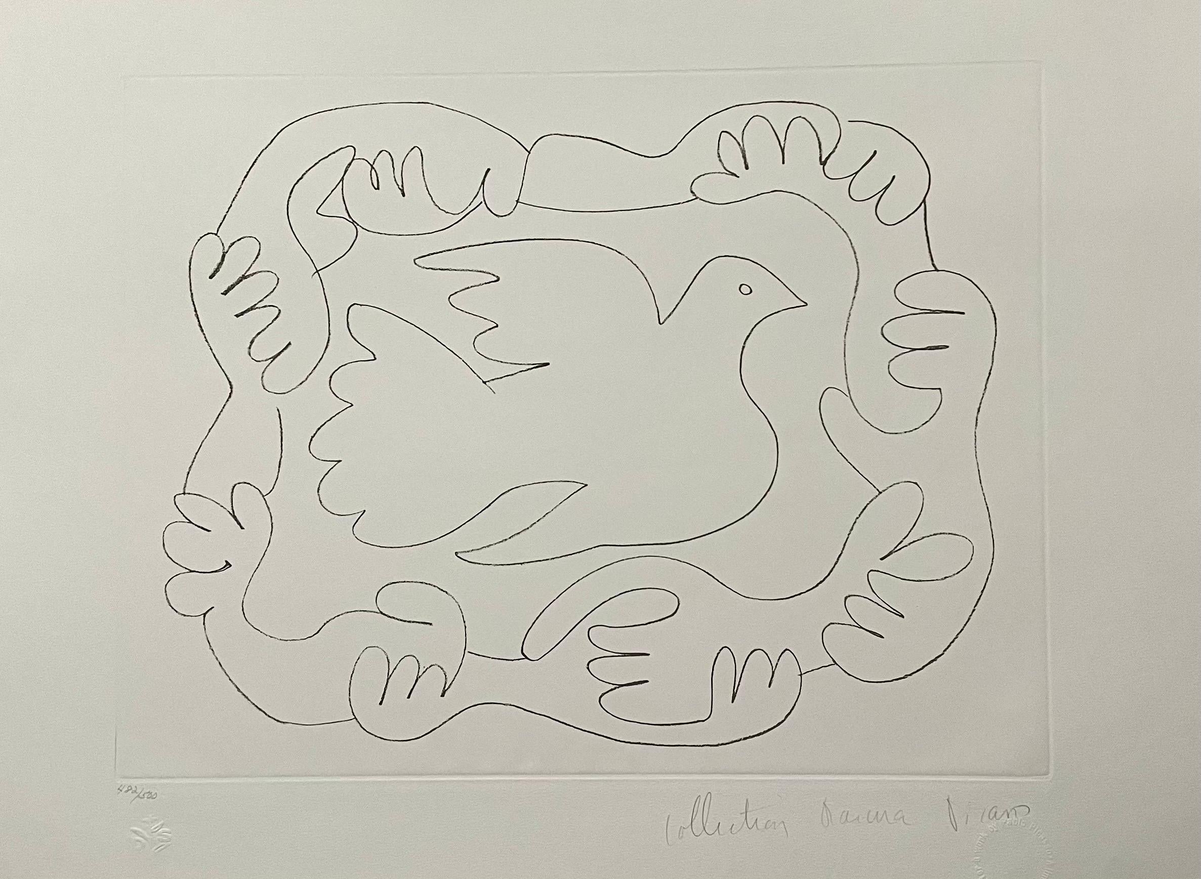 Nachlass von Pablo Picasso, handsignierte Lithographie, Fauvistische Taube des Friedens