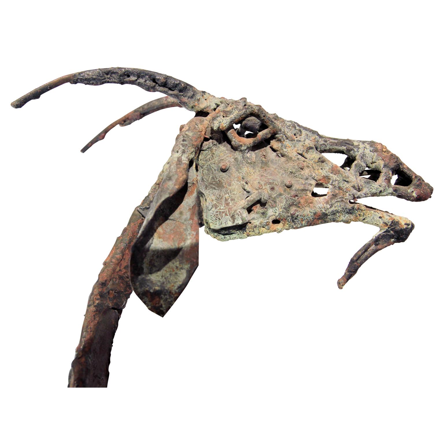 pablo picasso goat