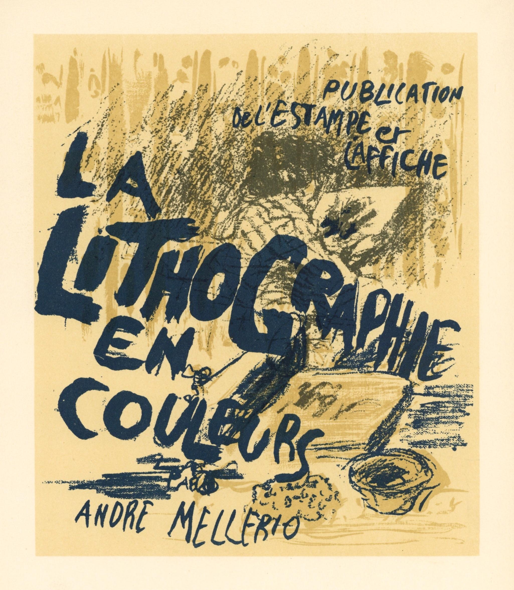 "La Lithographie en Couleurs" lithograph - Print by (after) Pierre Bonnard