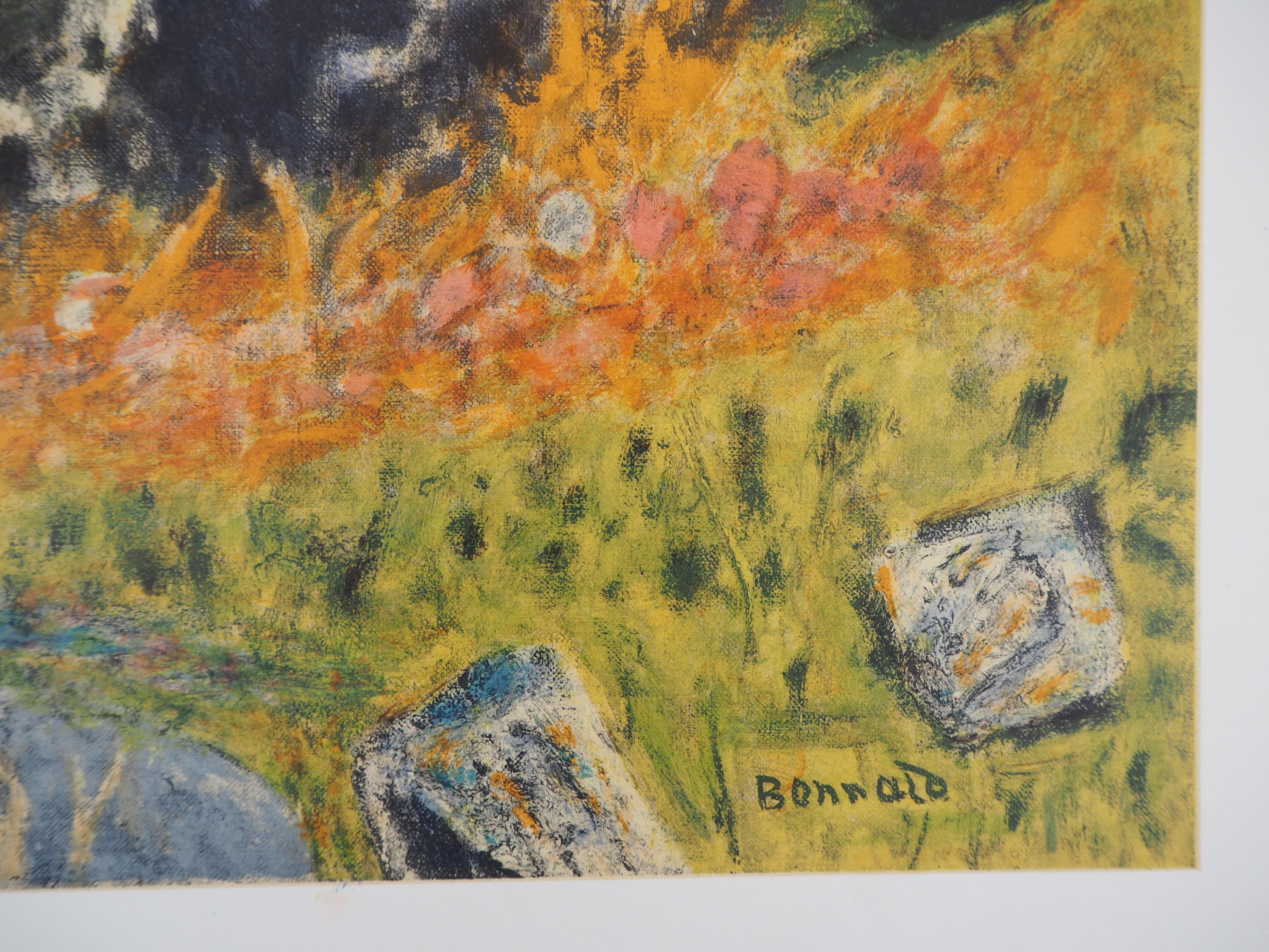 Paesaggio in Provenza - Litografia (Mourlot 1956) - Print di (after) Pierre Bonnard