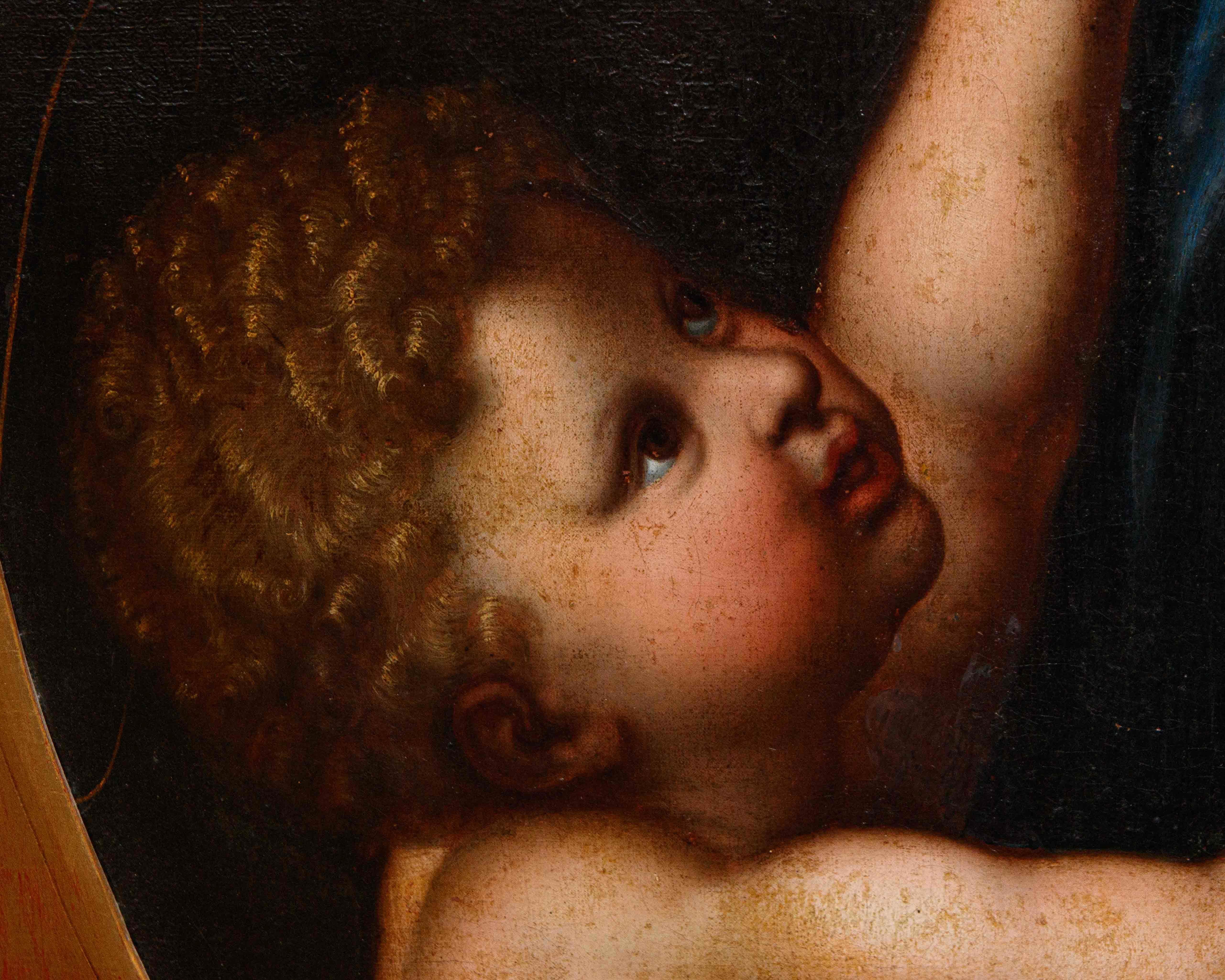 17. Jahrhundert, von Raphael Sanzio (Urbino, 1483 - Rom, 1520), Madonna (Brown), Figurative Painting, von (after) Raphael (Raffaello Sanzio da Urbino)