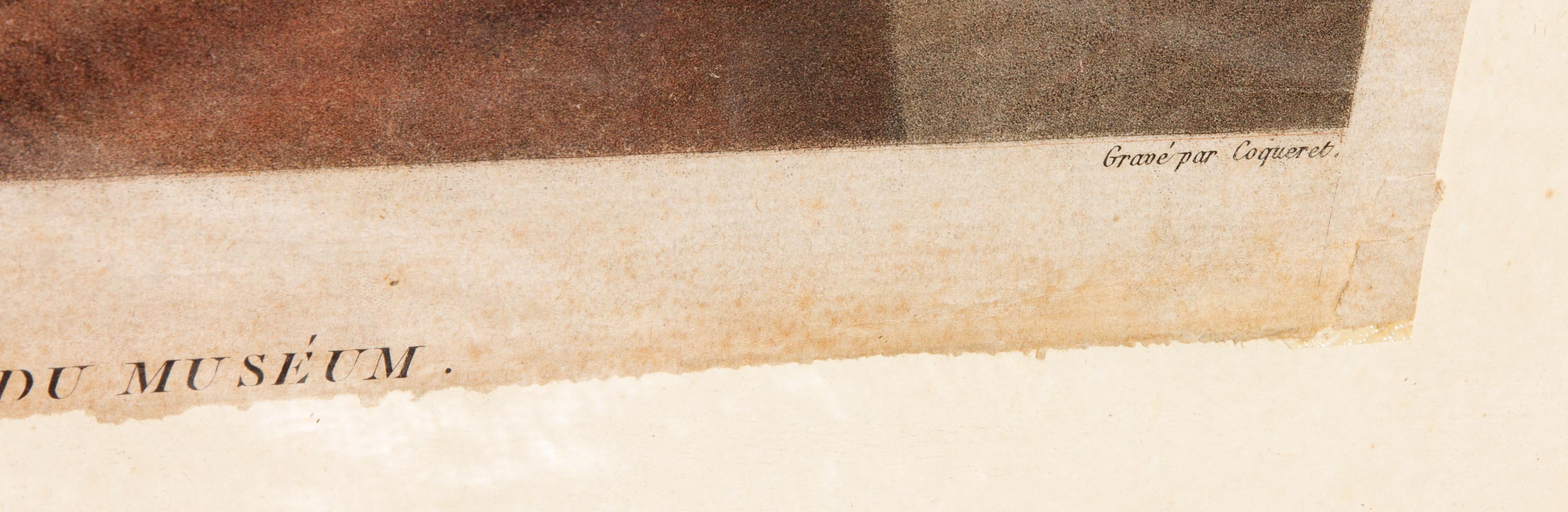 Impression du début du 19e siècle sur papier vergé. Deux apôtres d'après Raphael (Raffaello Sanzio da Urbino). Bonne couleur. Quelques rides subtiles sur le papier. Encadré. 