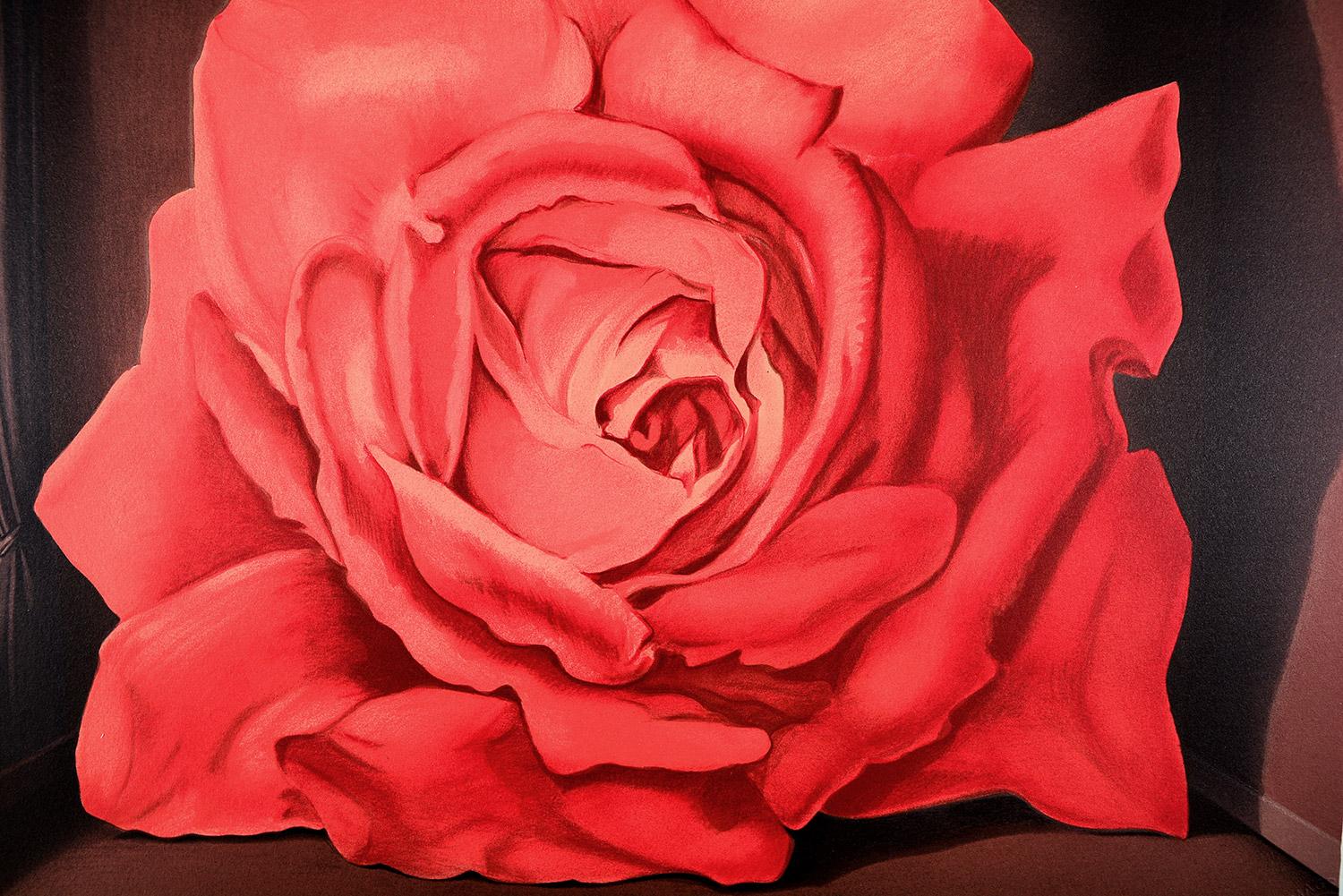 rene magritte rose