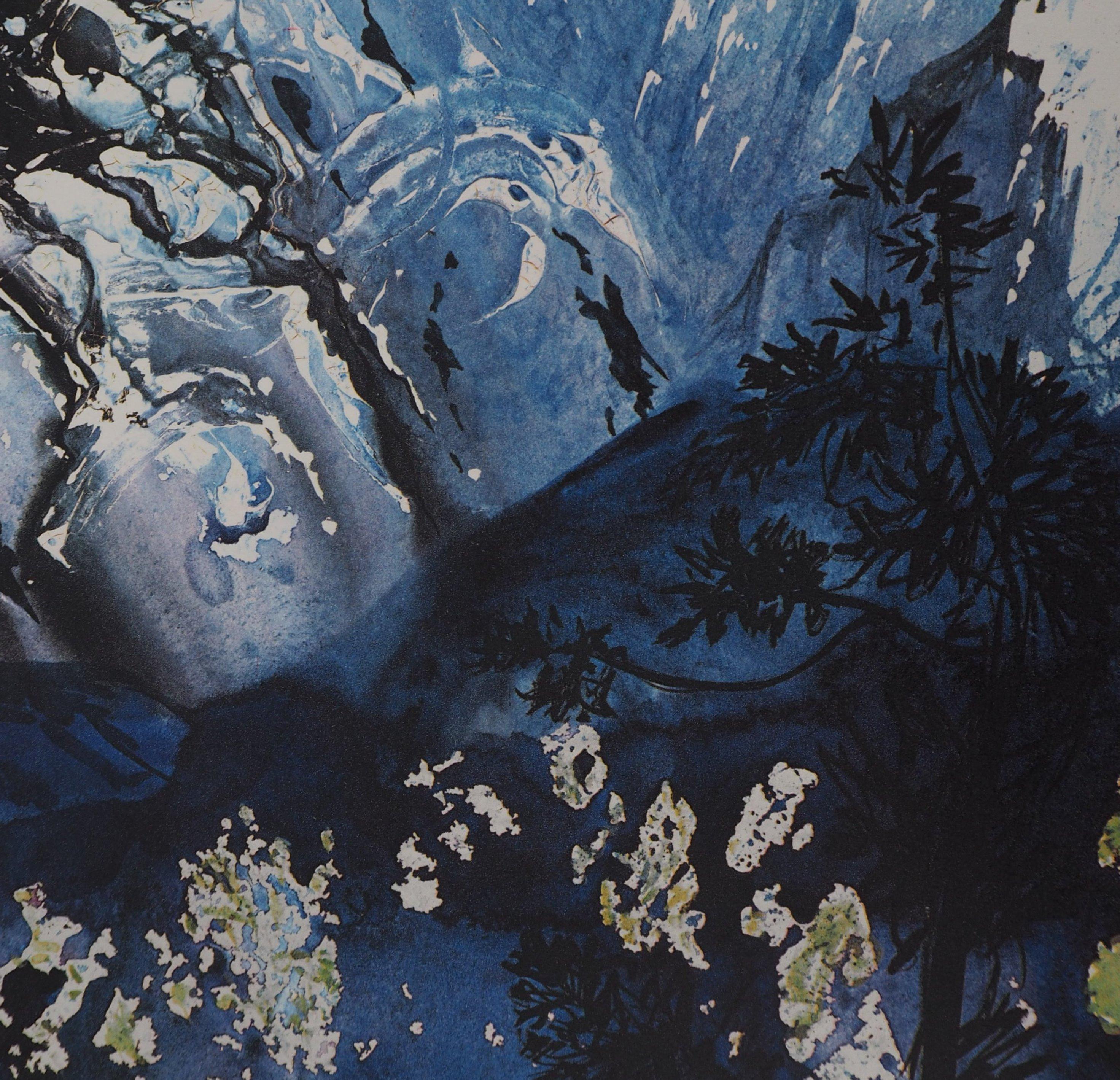 Butterfly suite : Les Alpes - heliogravure - 1969 - Black Landscape Print by (after) Salvador Dali