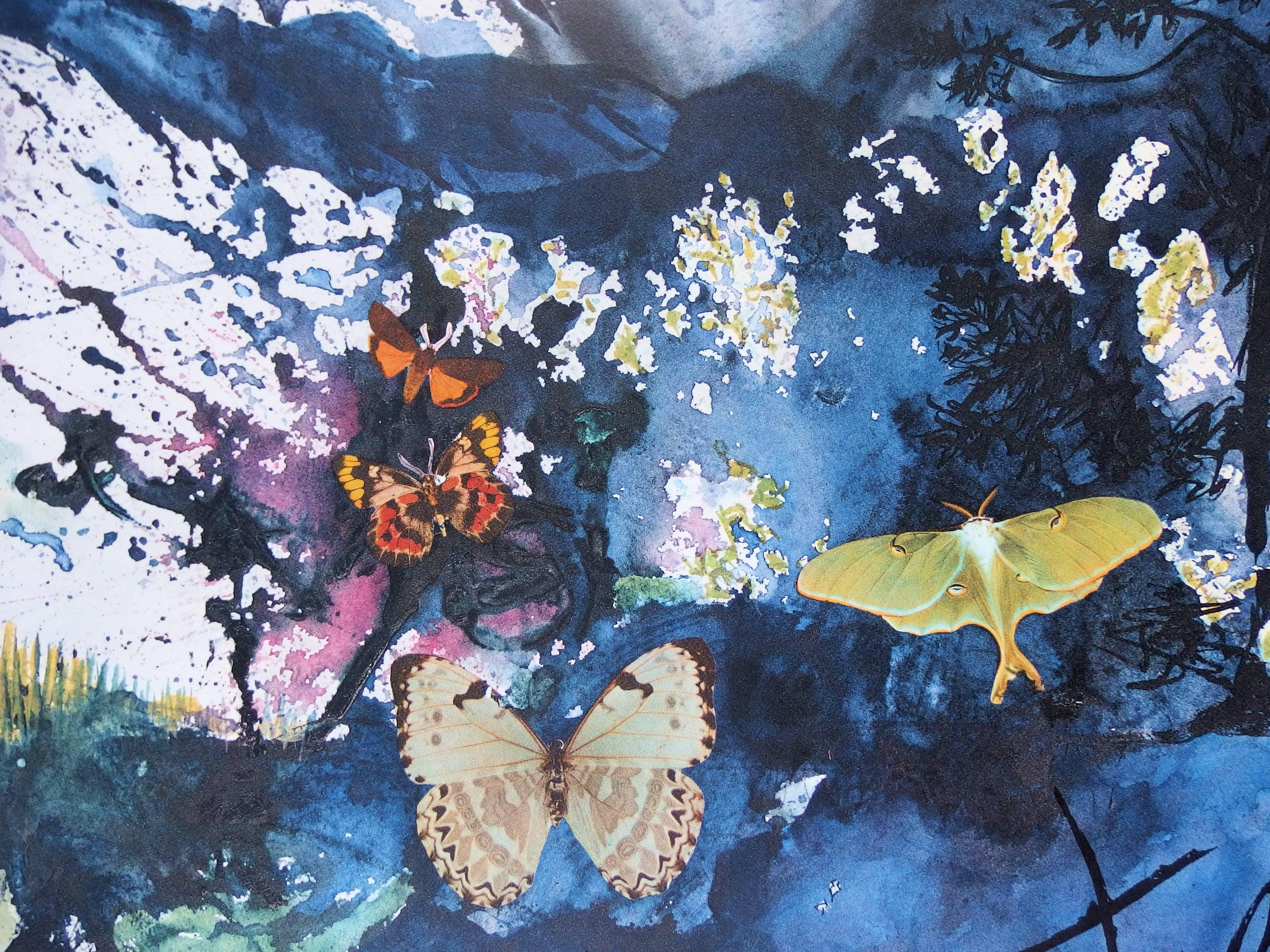 Butterfly suite : Les Alpes - lithograph - Tall size, 1969 - Gray Landscape Print by (after) Salvador Dali