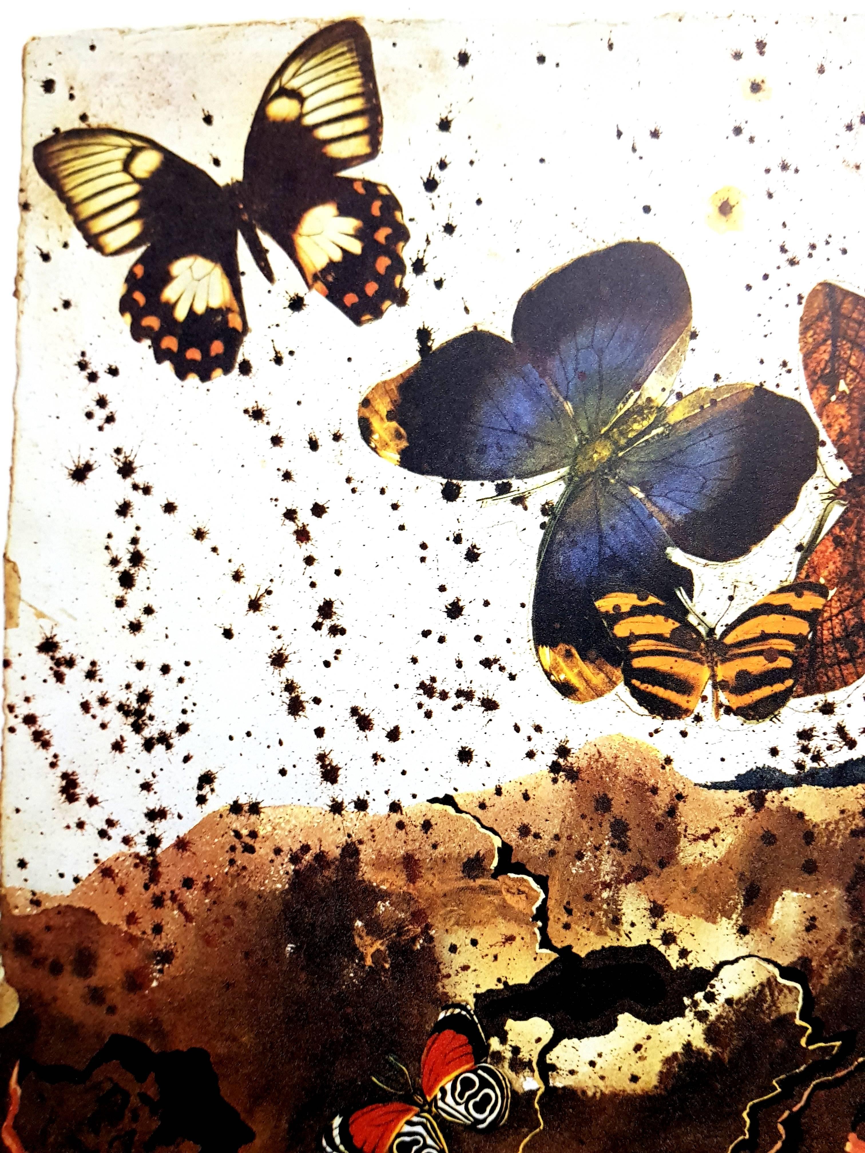 Salvador Dali (after) - Auvergne - Lithograph 3