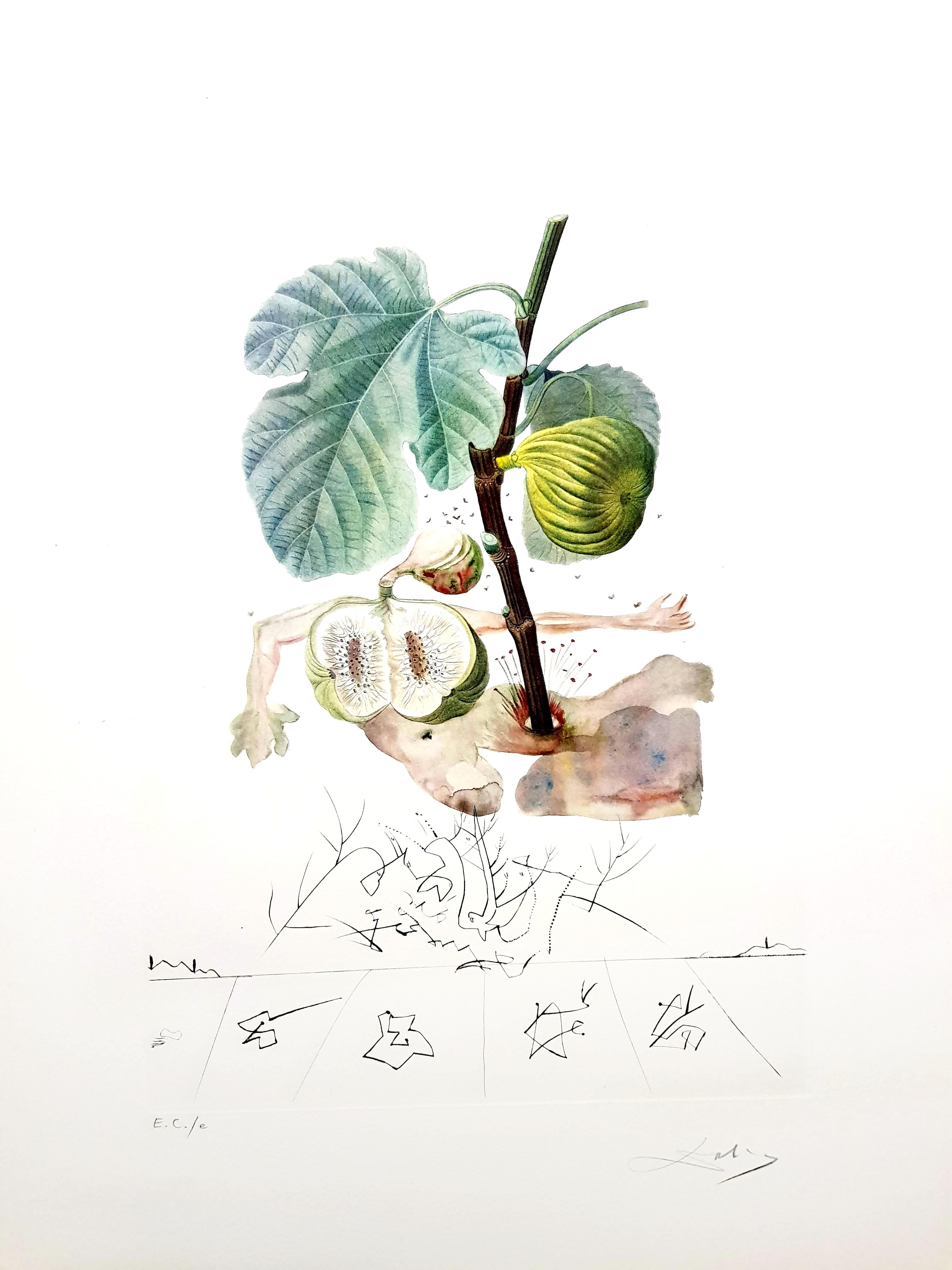 Salvador Dali - Fig Man - Original Hand-Signed Lithograph 6