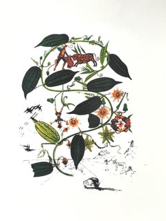 Piante e animali vorticosi Litografia in edizione limitata da Dalì