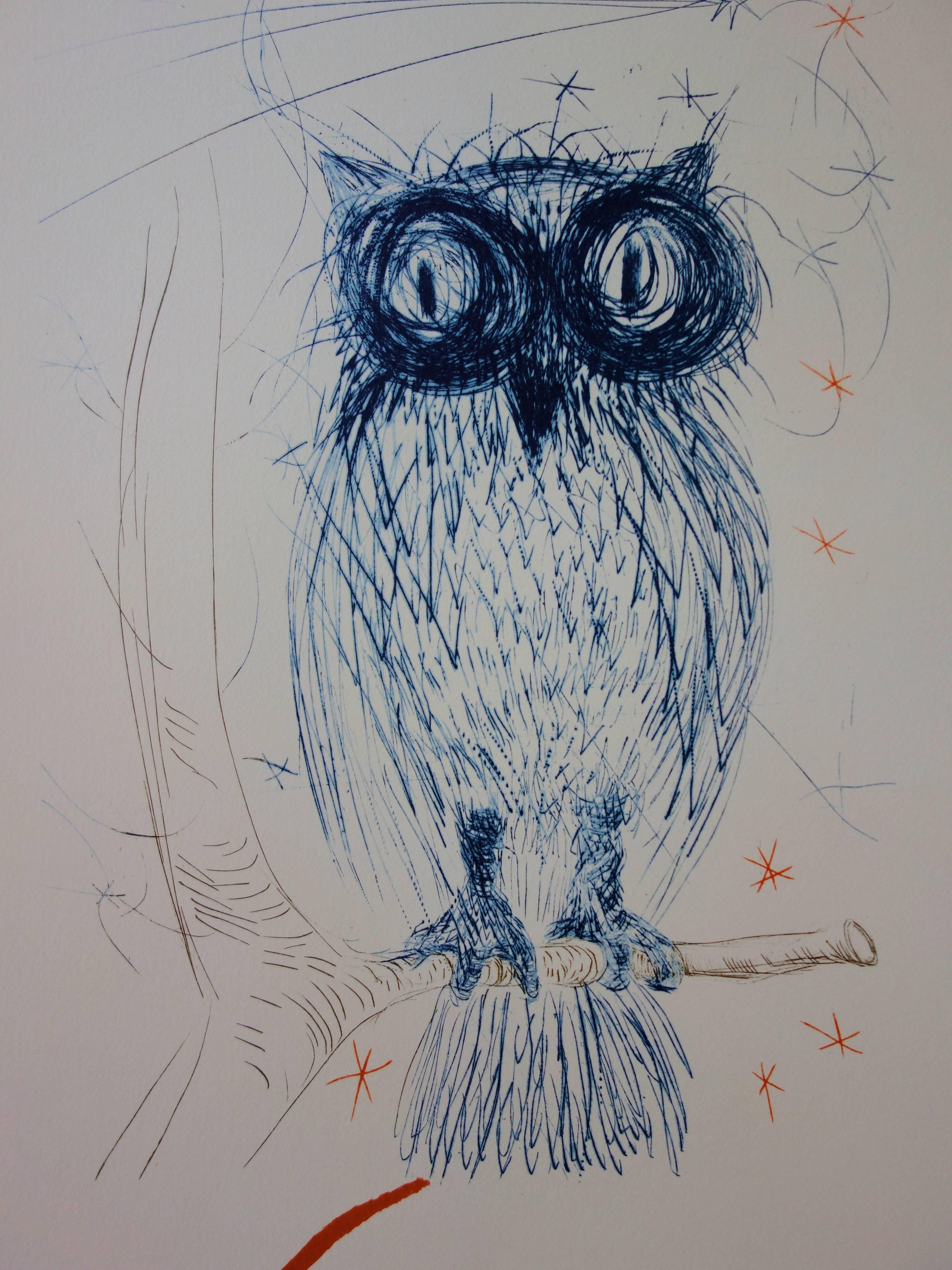 Le hibou bleu - Lithographie - Éditée par J. Schneider, 1983 - Gris Animal Print par (after) Salvador Dali