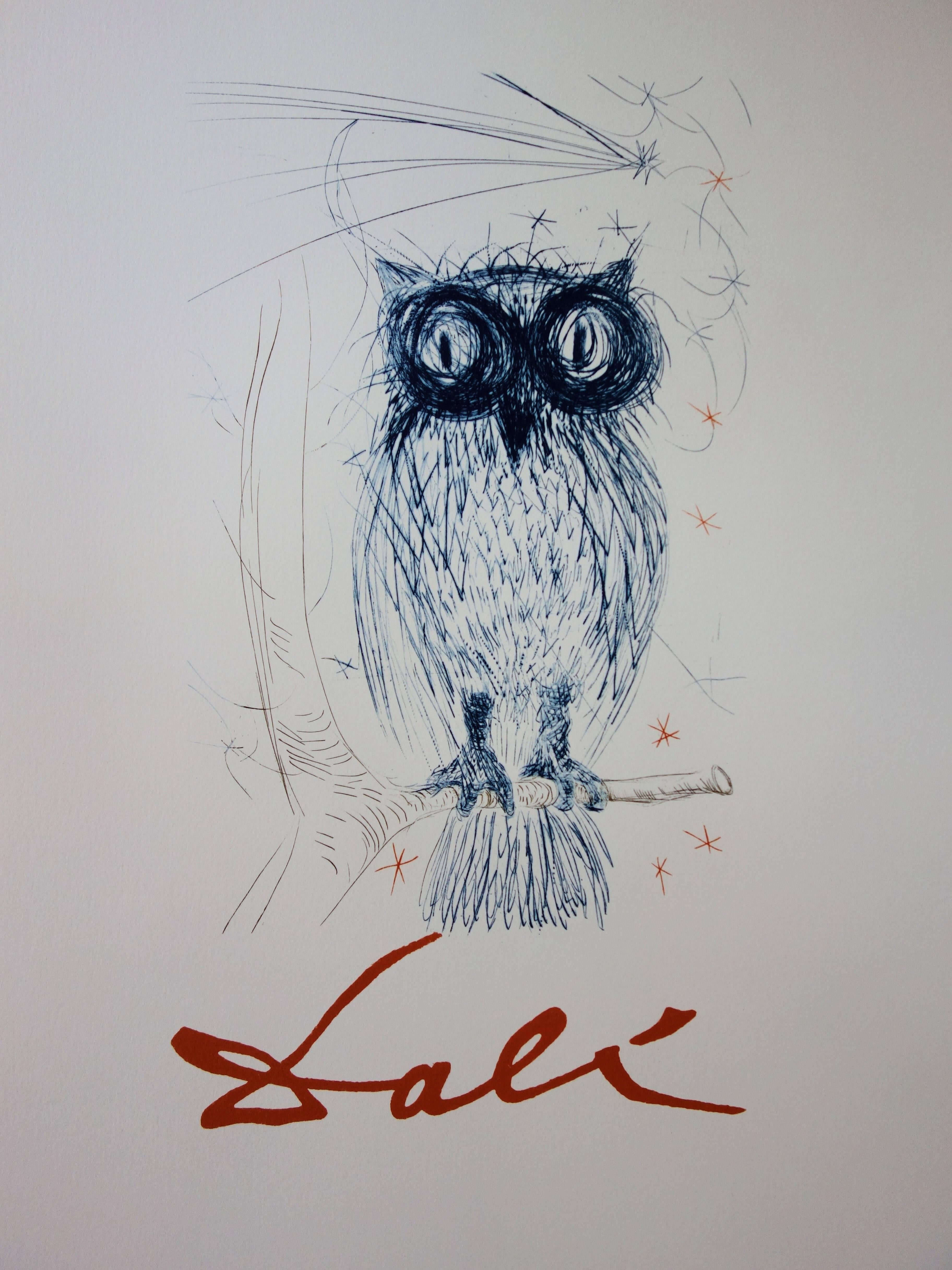 Salvador DALI (after)
The Blue Owl

Lithograph
Printed signature in the plate 
Printed in Matthieu workshop
Edited by J. Schneider for the Dali exhibition at Galerie Orangerie in 1983/84, here a rare copy on vellum without the text for the
