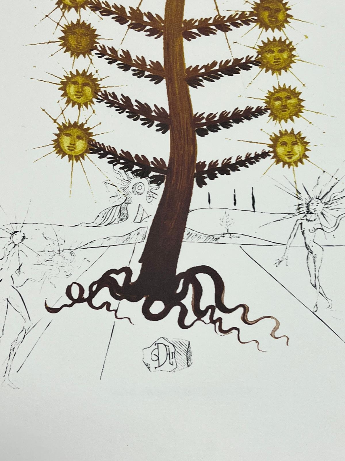 litografia dali