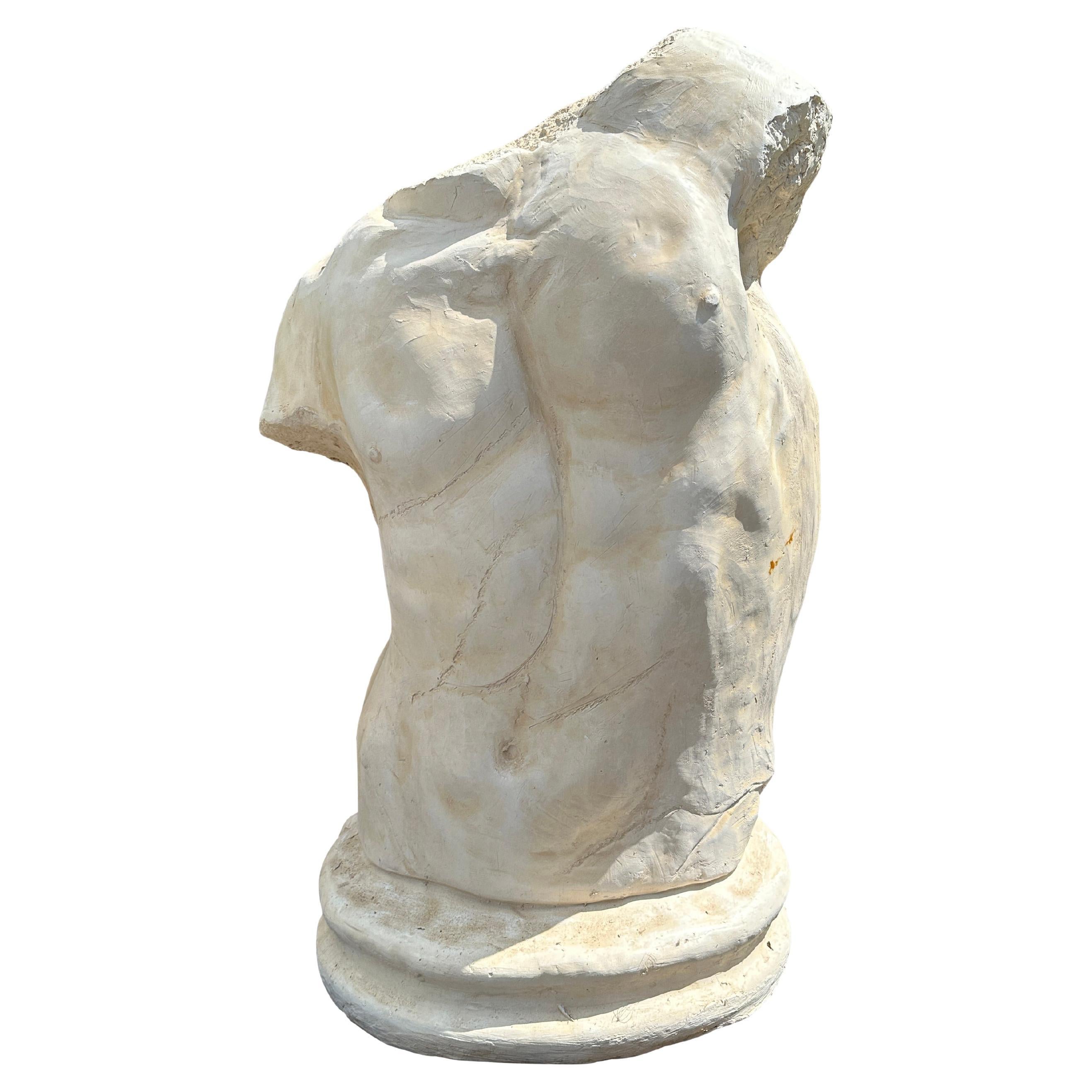 After the antique, large plaster cast of a male torso