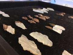 After The Ice Age 38 Pair Of Earrings in Gold-Plated Bronze by Marion Fillancq