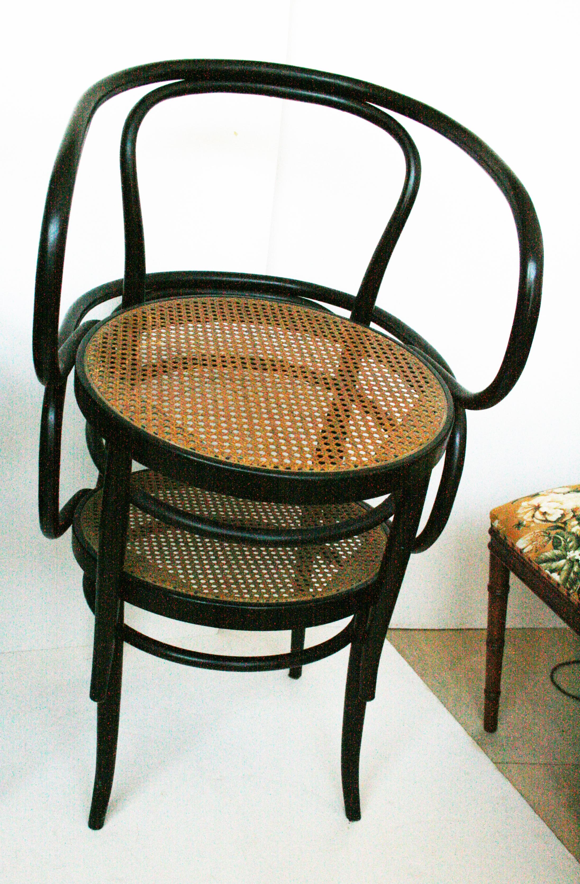 Nach Thonet 209:: Paar Stühle aus Rohr und schwarzem Bugholz:: 1950er Jahre (Moderne der Mitte des Jahrhunderts)