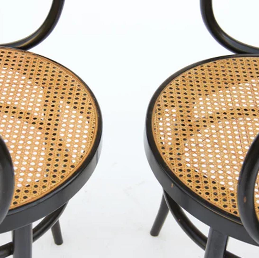  Chairs Thonet 209, Pair of Cane and Black Bentwood , 1940s or 1950s In Excellent Condition For Sale In Mombuey, Zamora