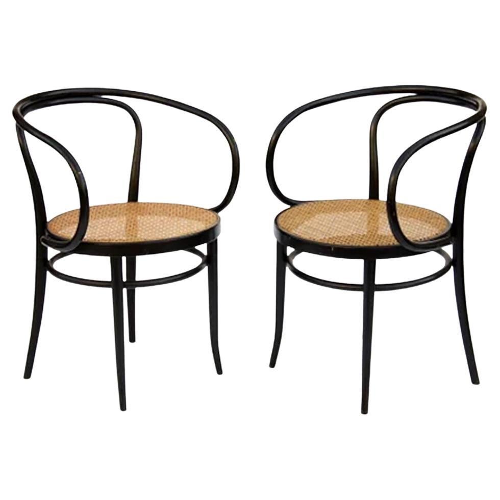  Chairs Thonet 209, Pair of Cane and Black Bentwood , 1940s or 1950s For Sale