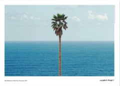 "Palm tree / seascape" landscape photography museum poster 27 x 19 in